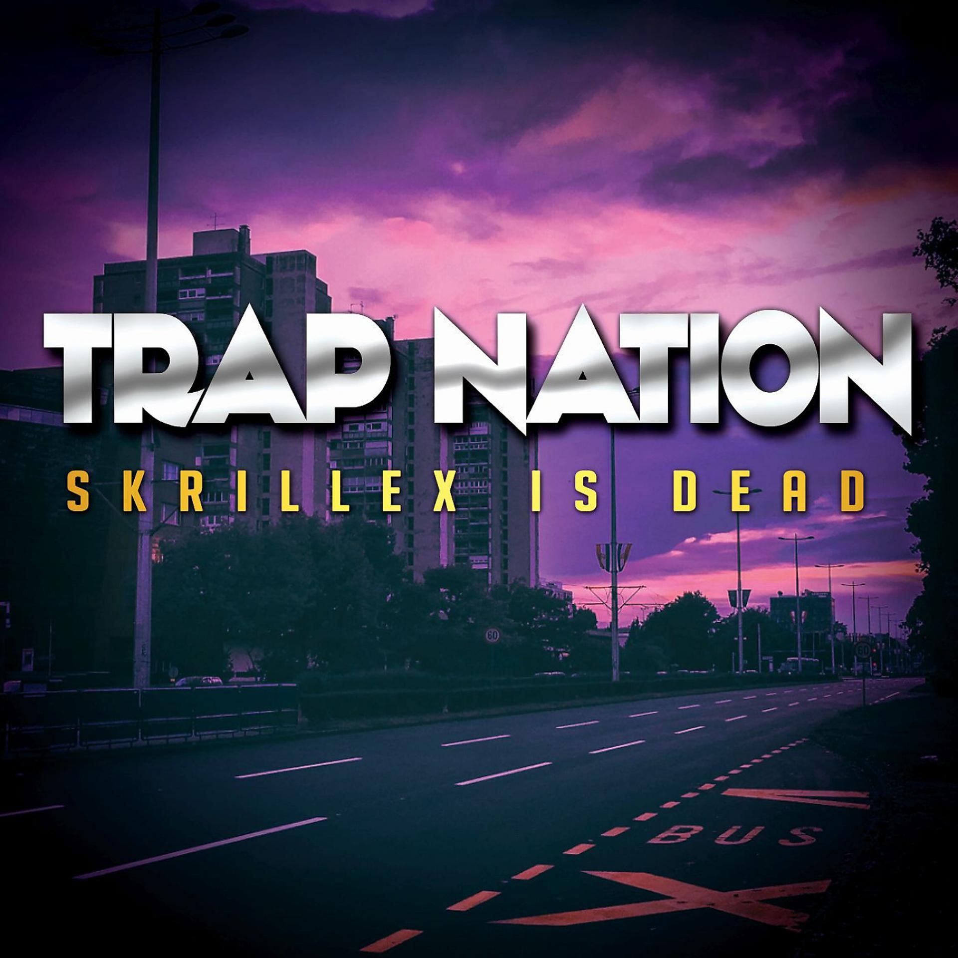 Постер альбома Skrillex is Dead