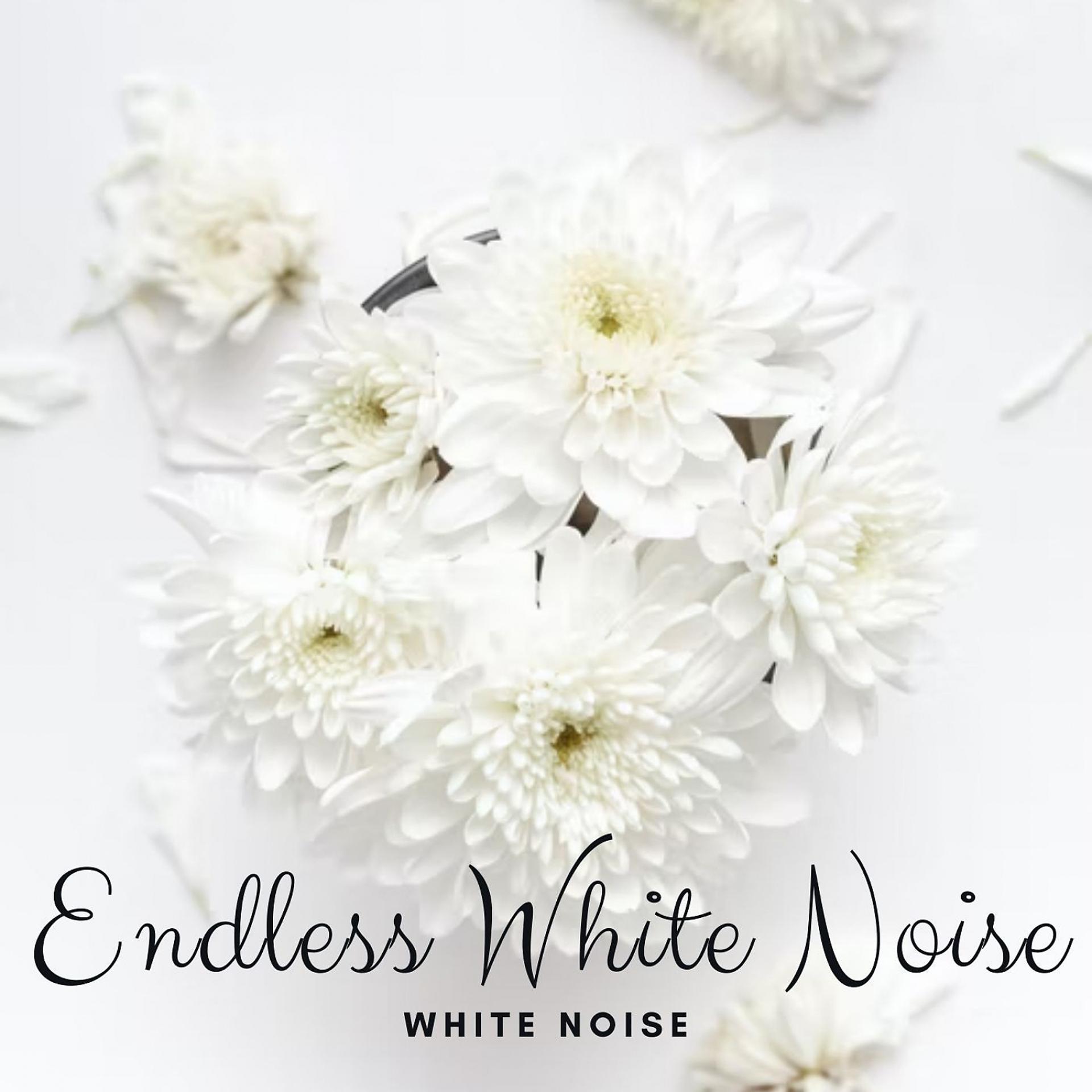 Постер альбома White Noise: Endless White Noise