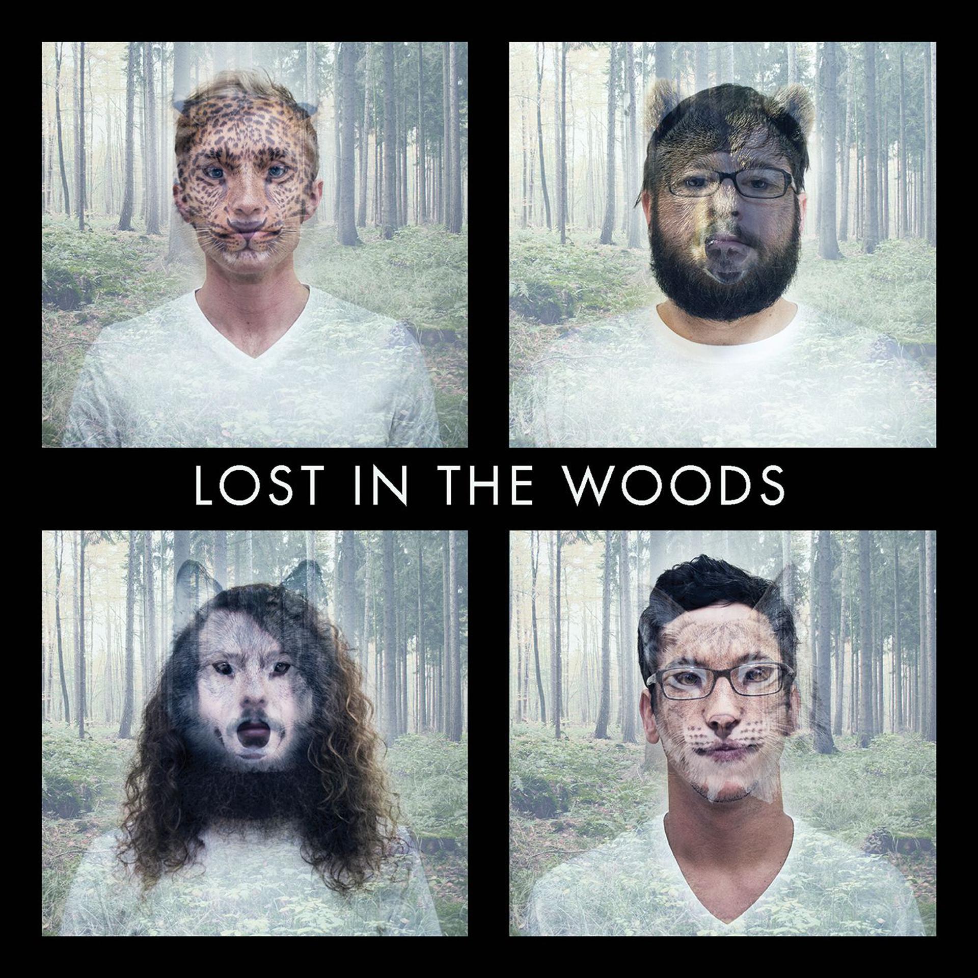Постер альбома Lost In The Woods