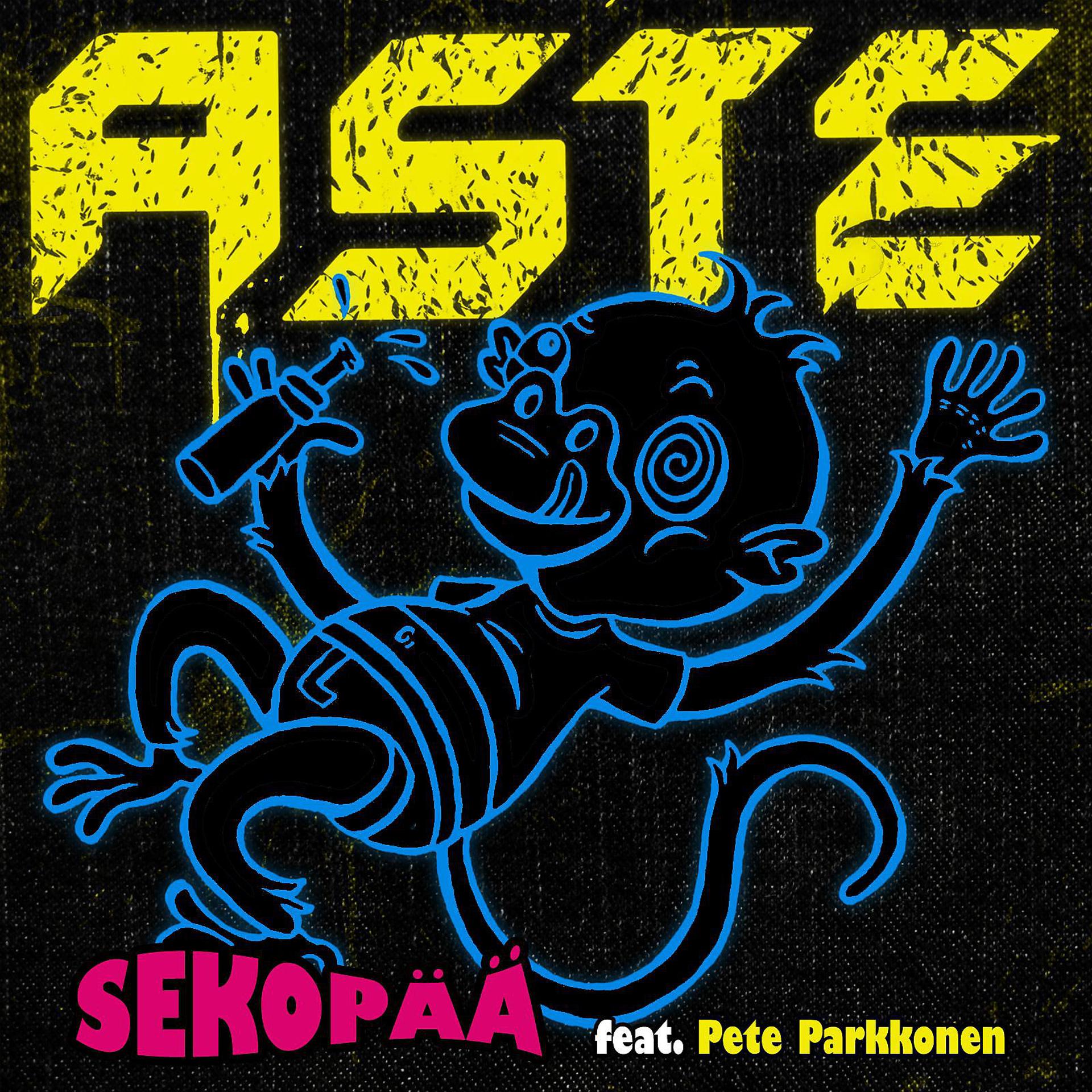 Постер альбома Sekopää (feat. Pete Parkkonen)