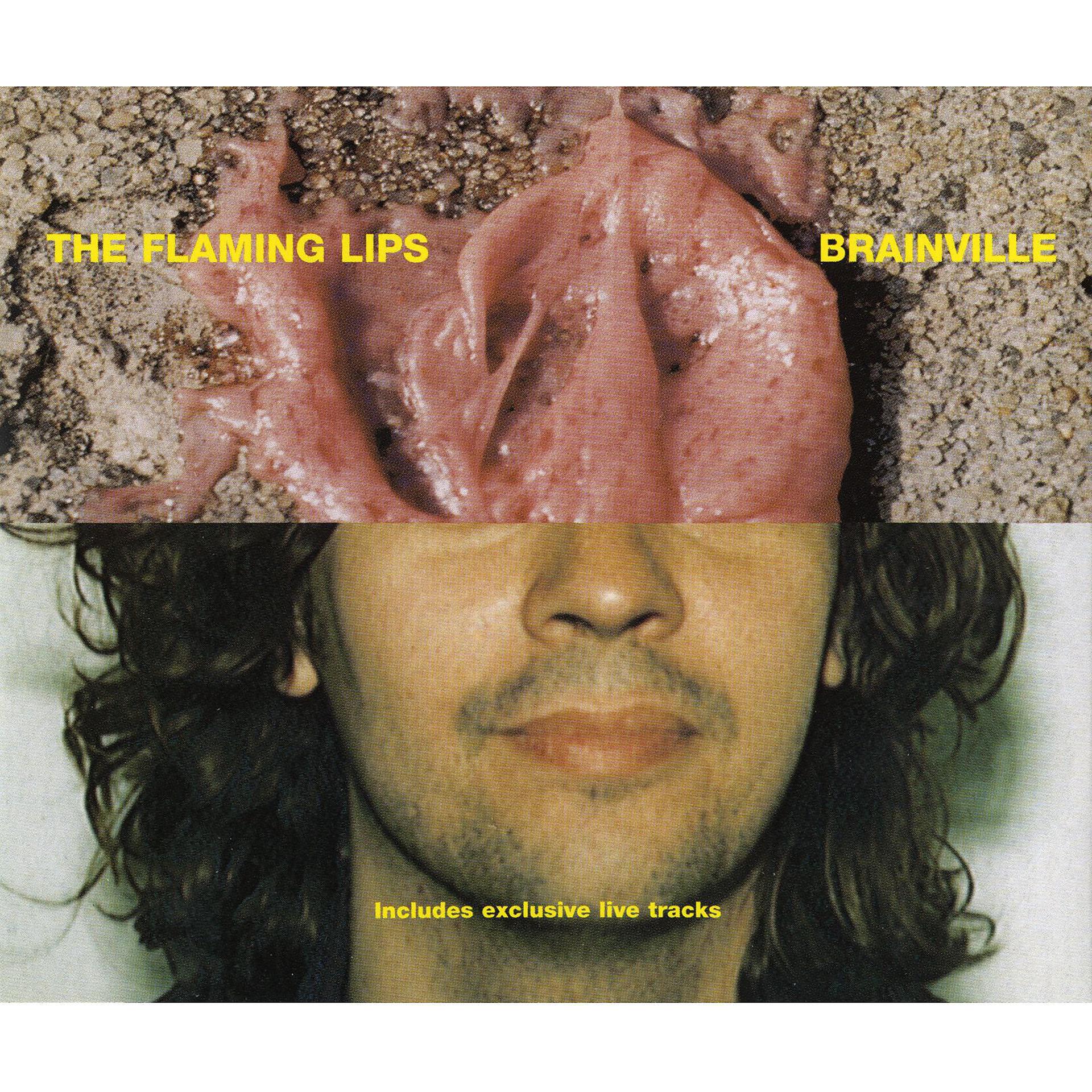 Постер альбома Brainville (Extended Single Version)