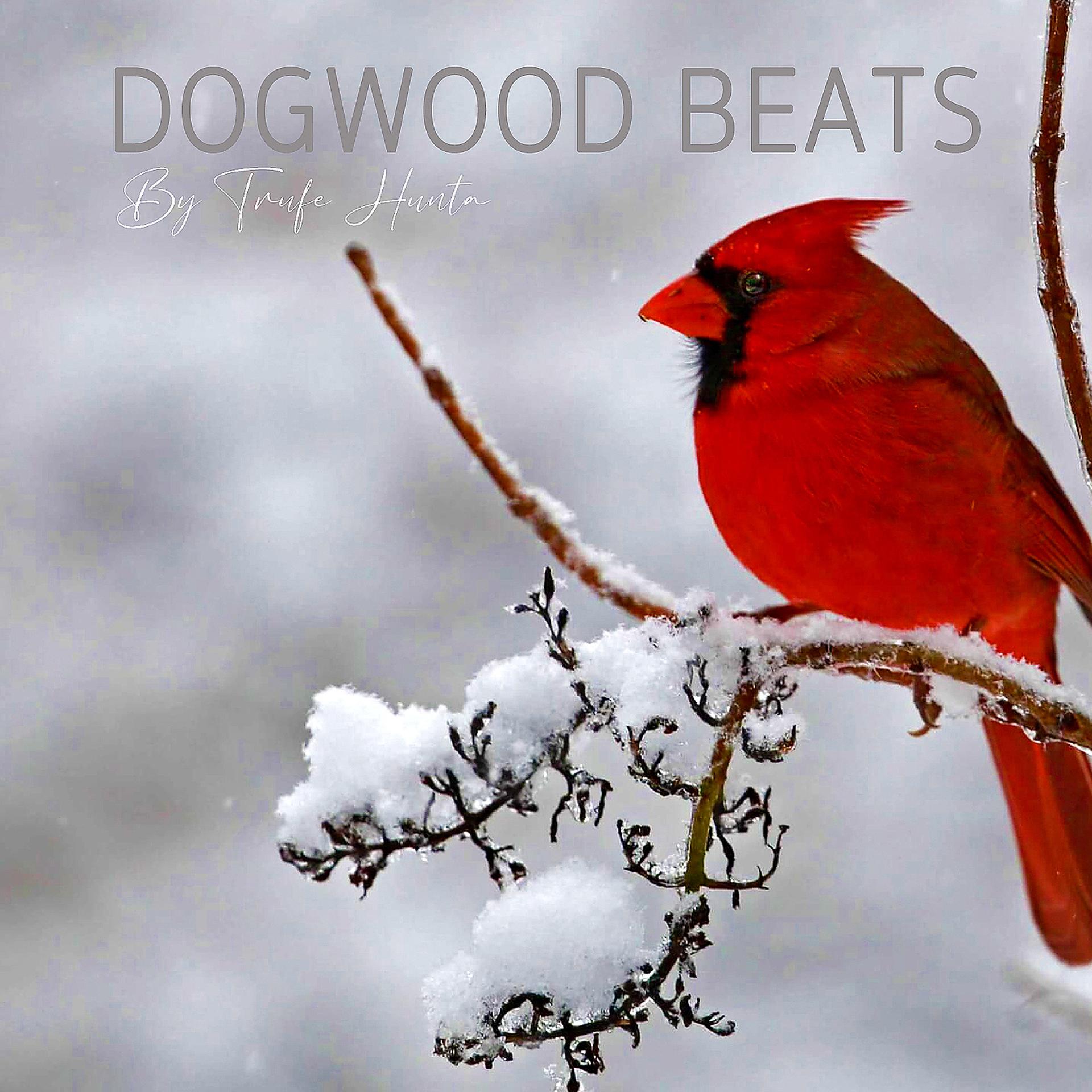 Постер альбома Dogwood Beats