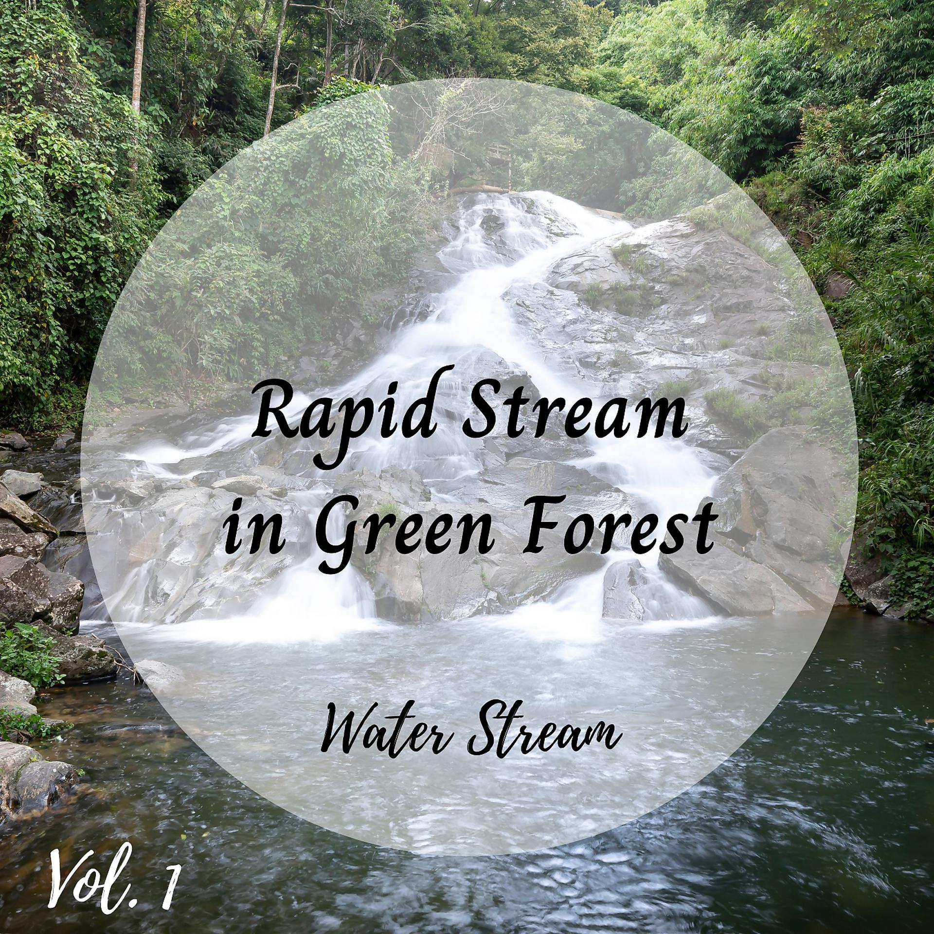 Постер альбома Water Stream: Rapid Stream in Green Forest Vol. 1