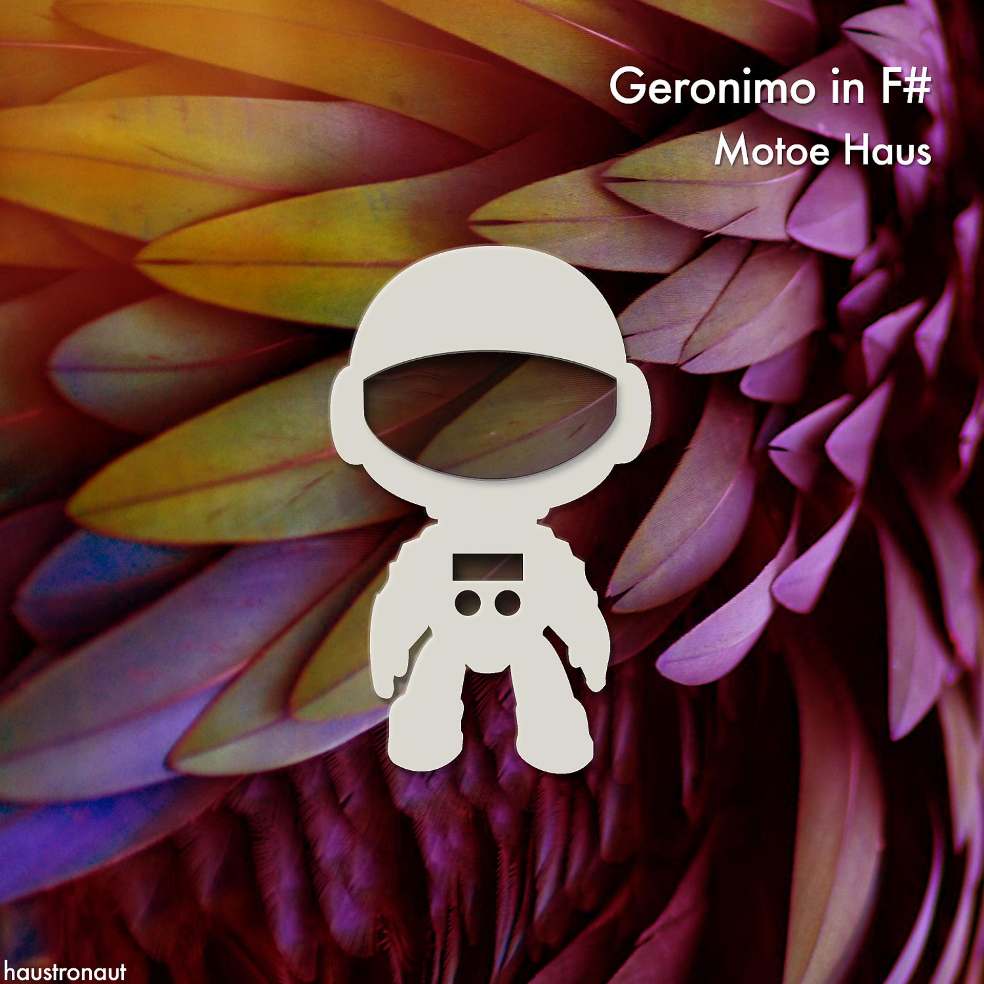 Постер альбома Geronimo in F#