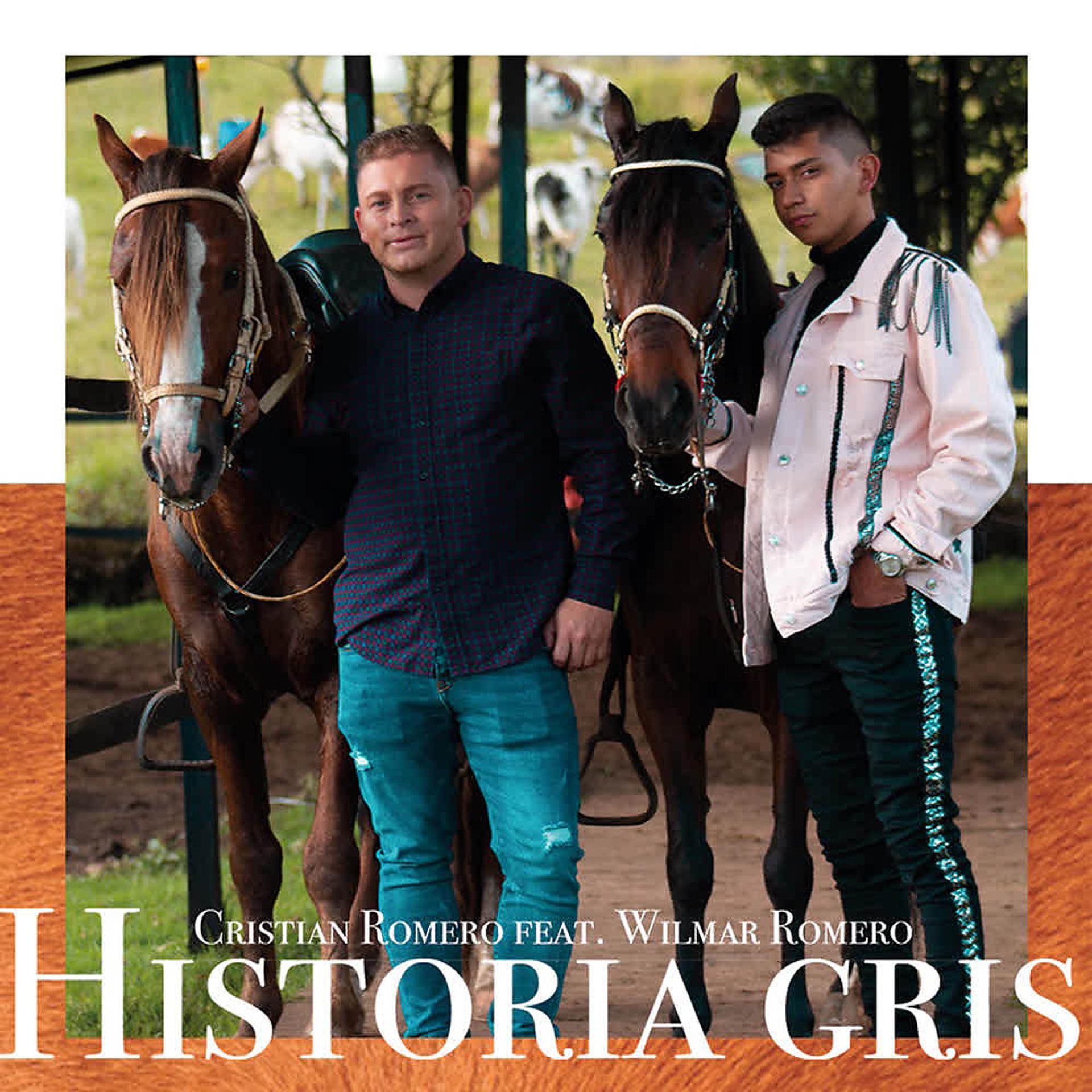 Постер альбома Historia Gris