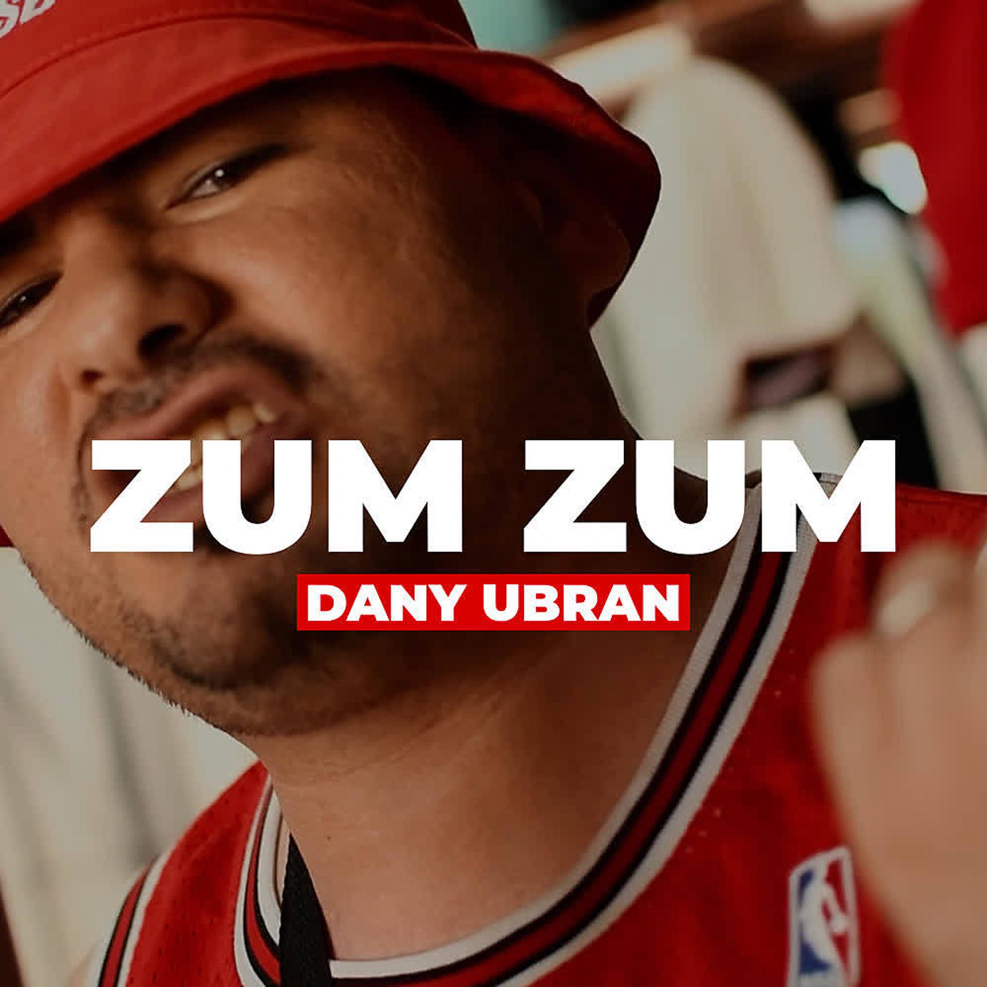 Постер альбома Zum Zum