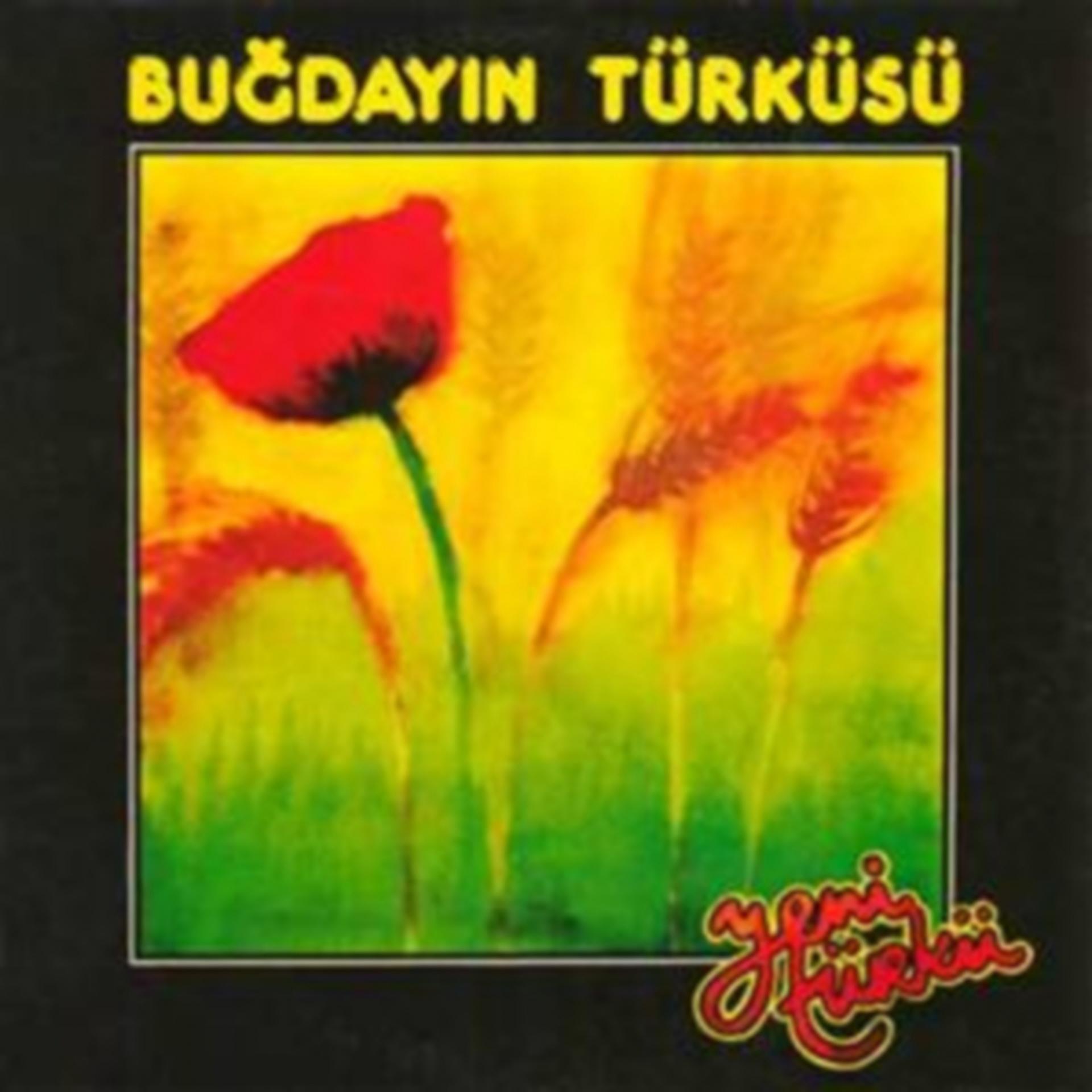 Постер альбома Buğdayın Türküsü