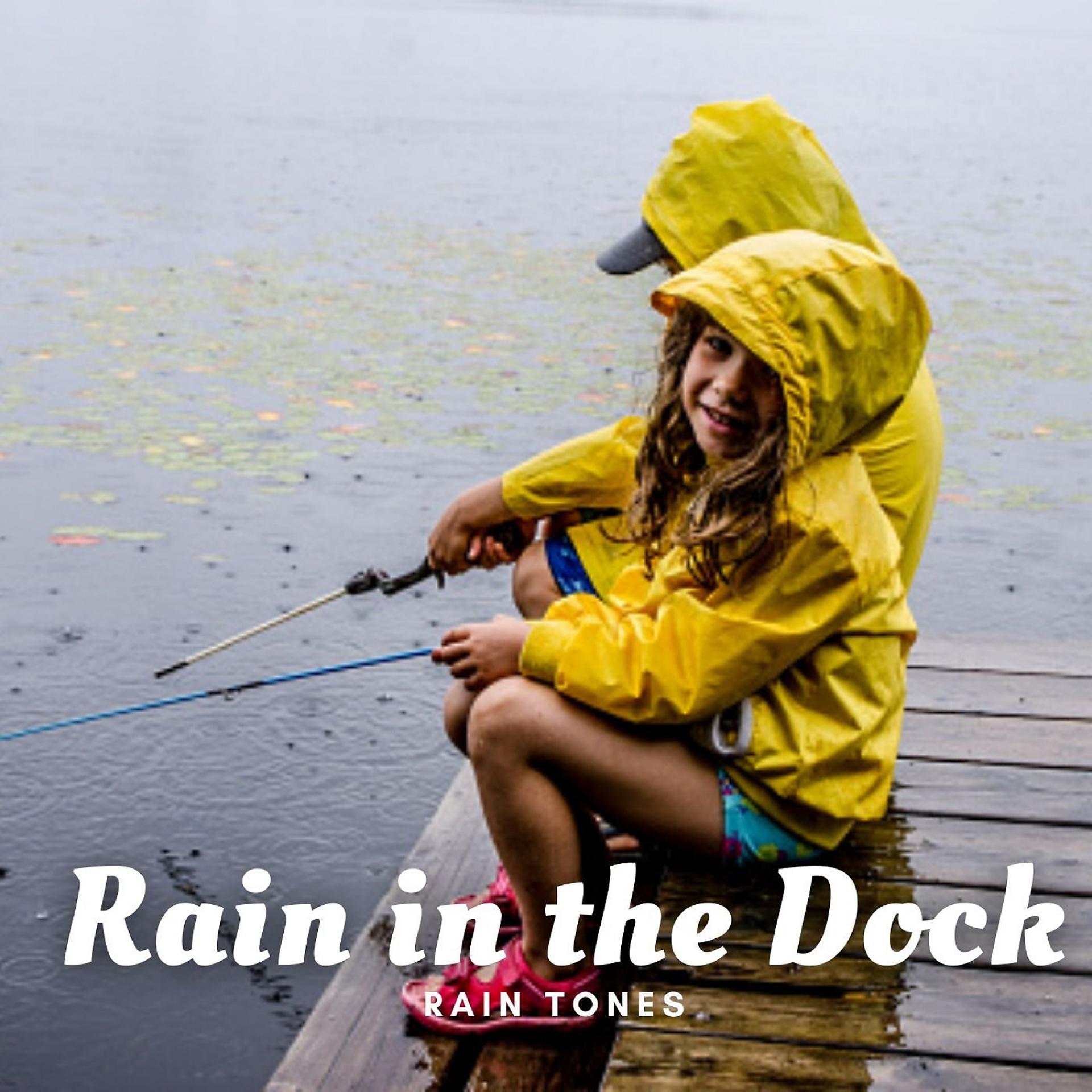 Постер альбома Rain Tones: Rain in the Dock