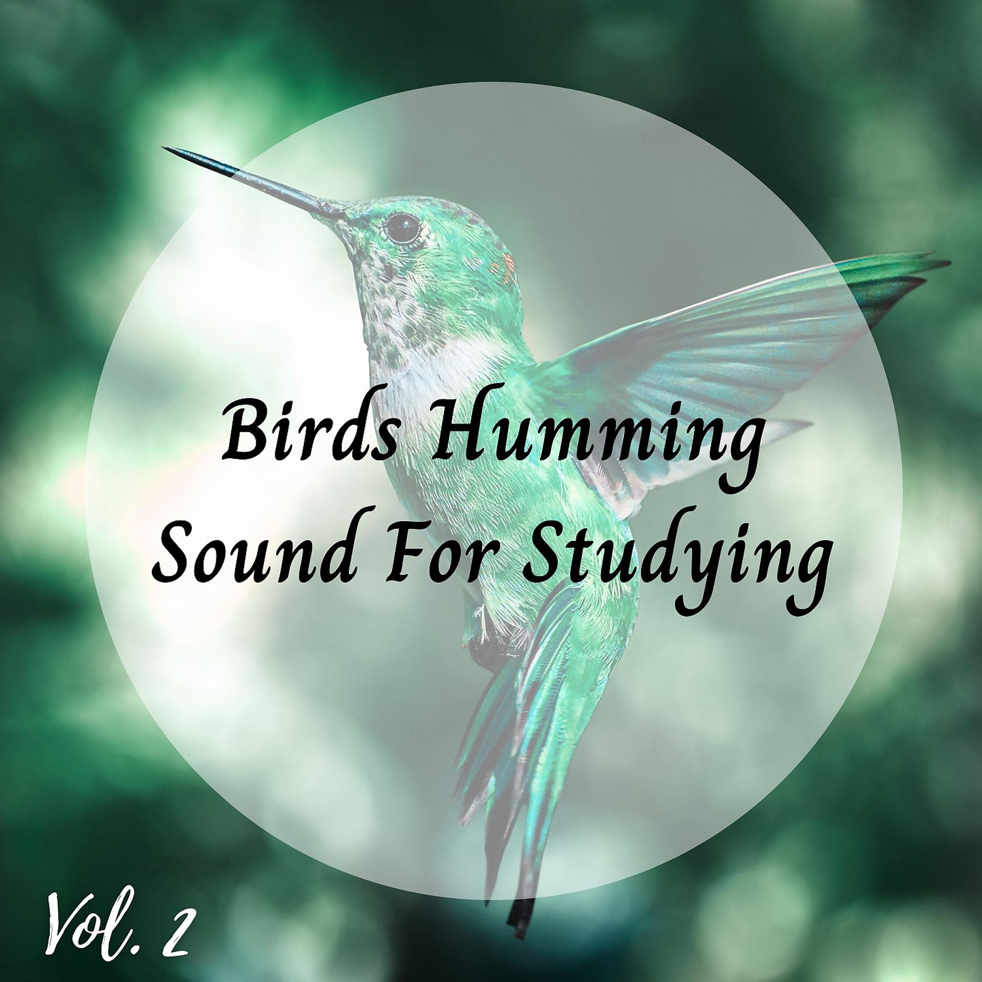 Постер альбома Birds Humming Sound For Studying Vol. 2