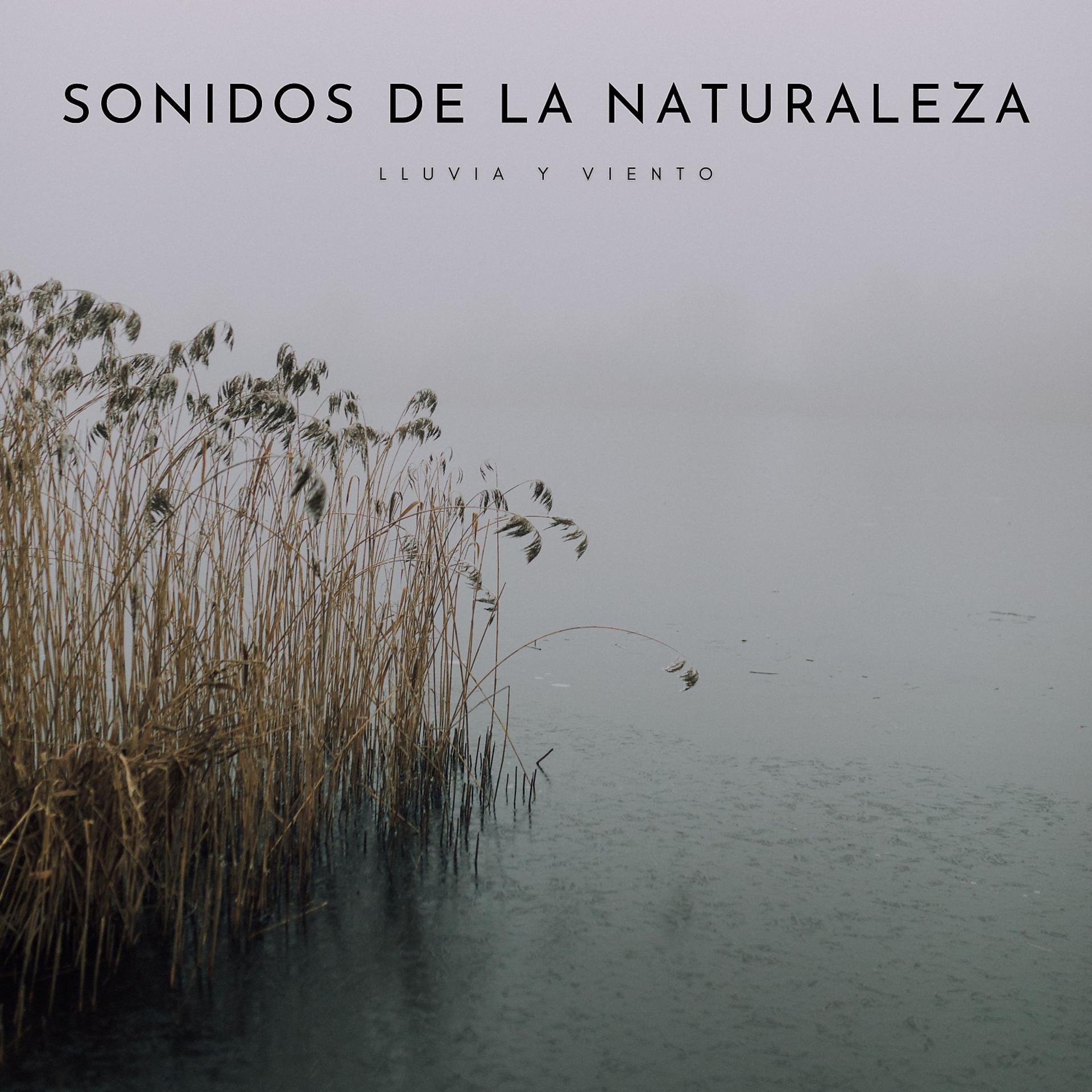Постер альбома Sonidos De La Naturaleza: Lluvia y Viento