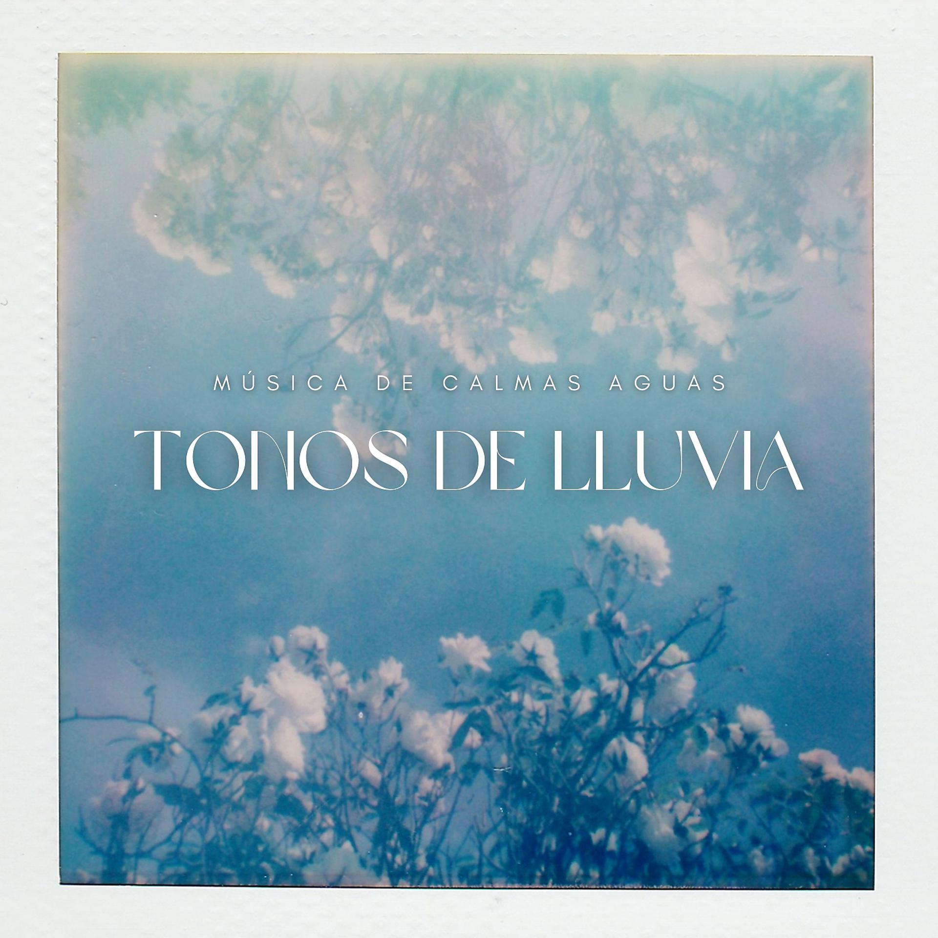 Постер альбома Tonos De Lluvia: Música De Calmas Aguas