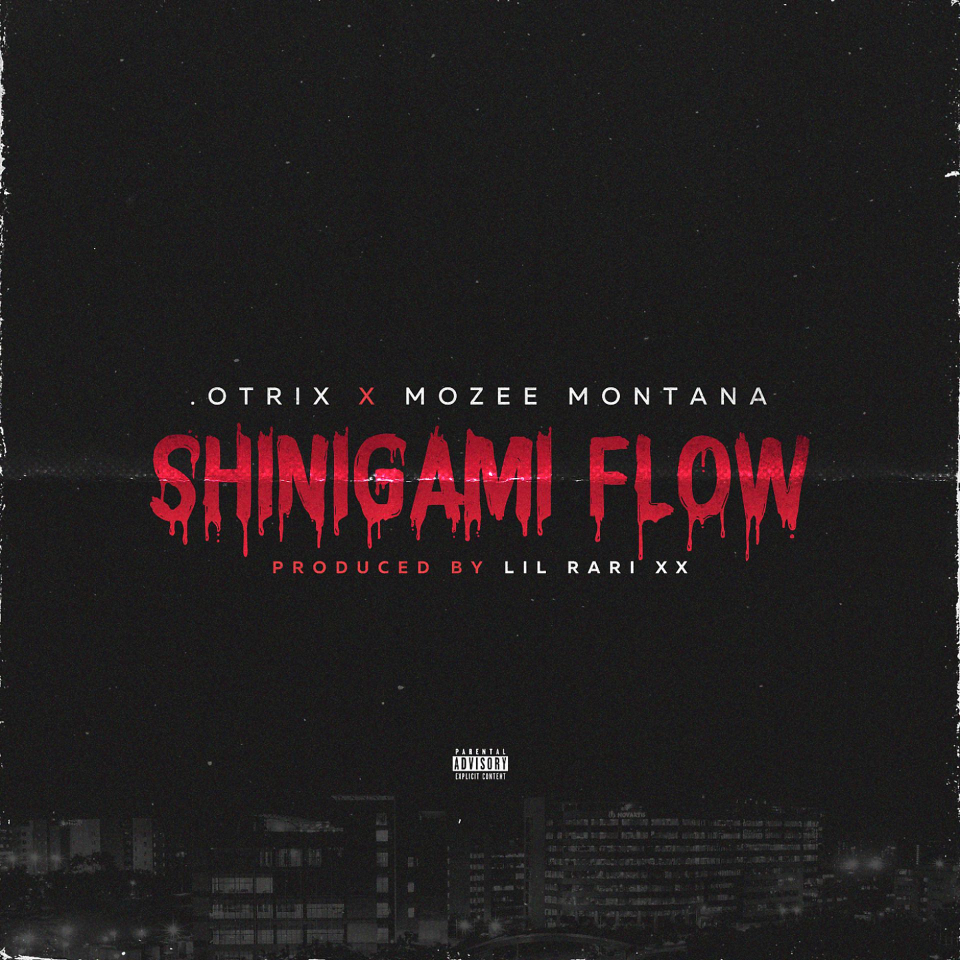 Постер альбома Shinigami Flow