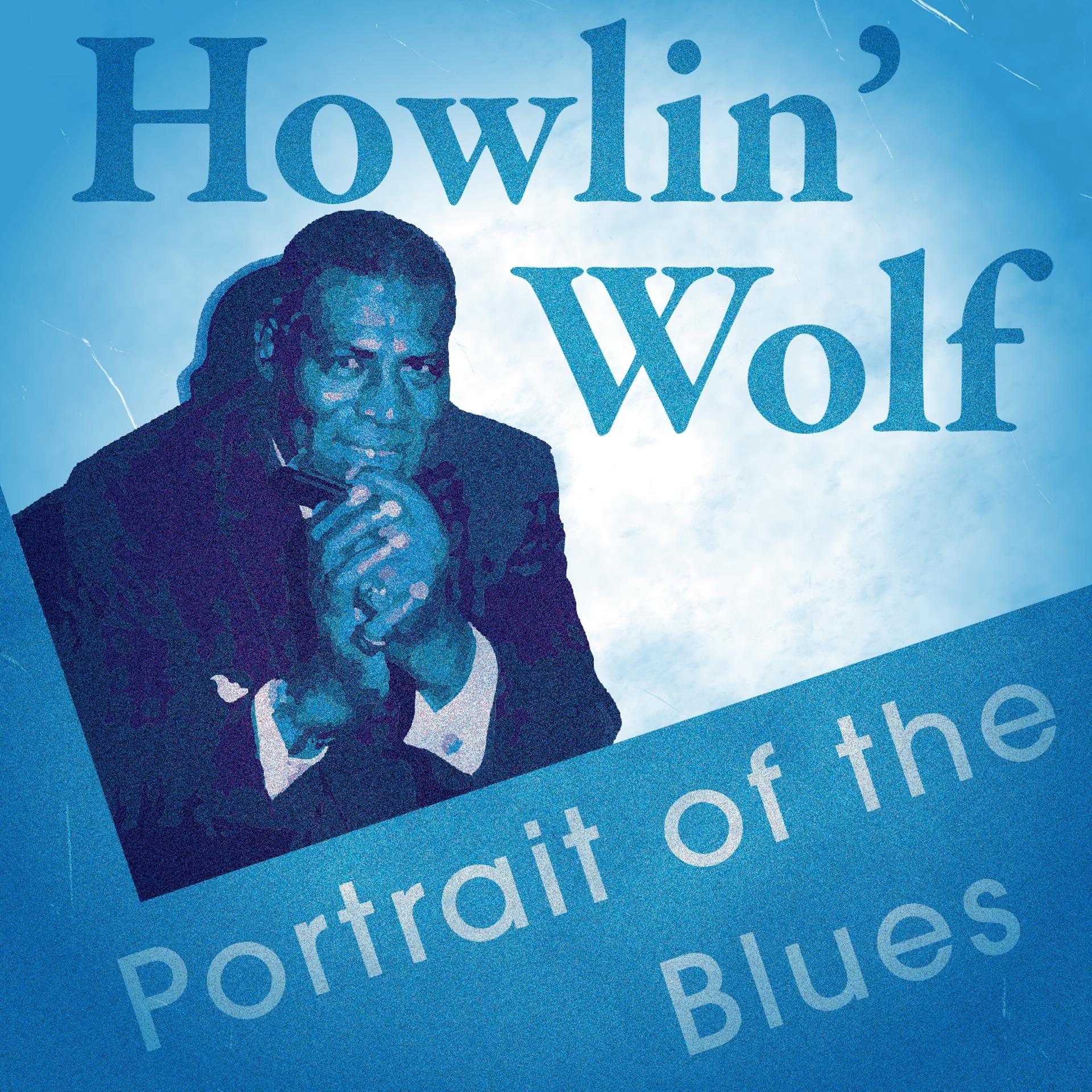 Постер альбома Portrait of the Blues