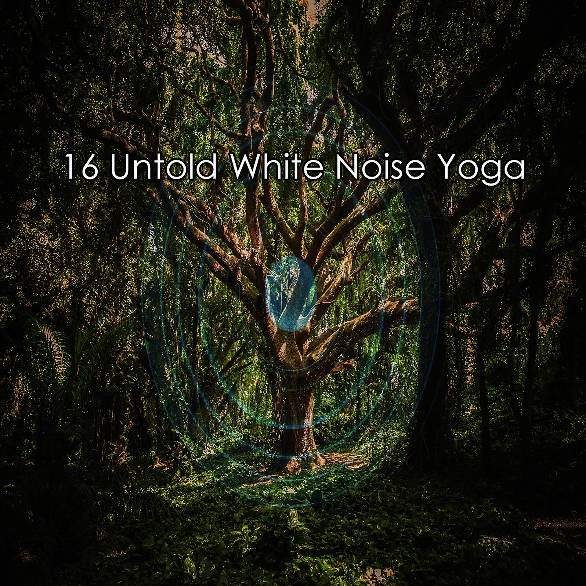 Постер альбома 16 Нерассказанная йога с белым шумом