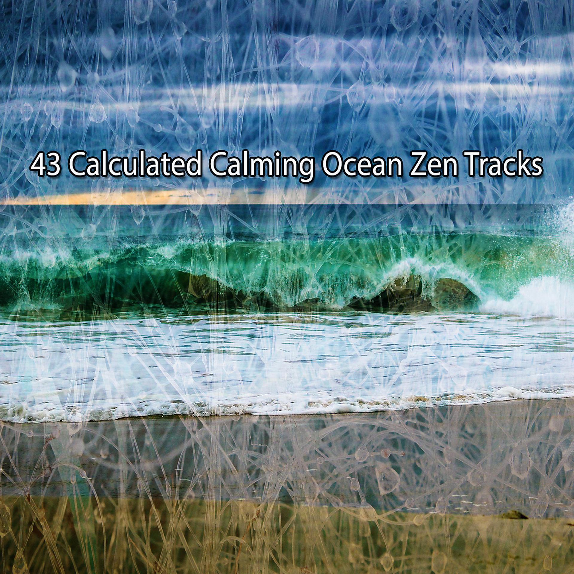 Постер альбома 43 рассчитанных успокаивающих дзен-трека океана