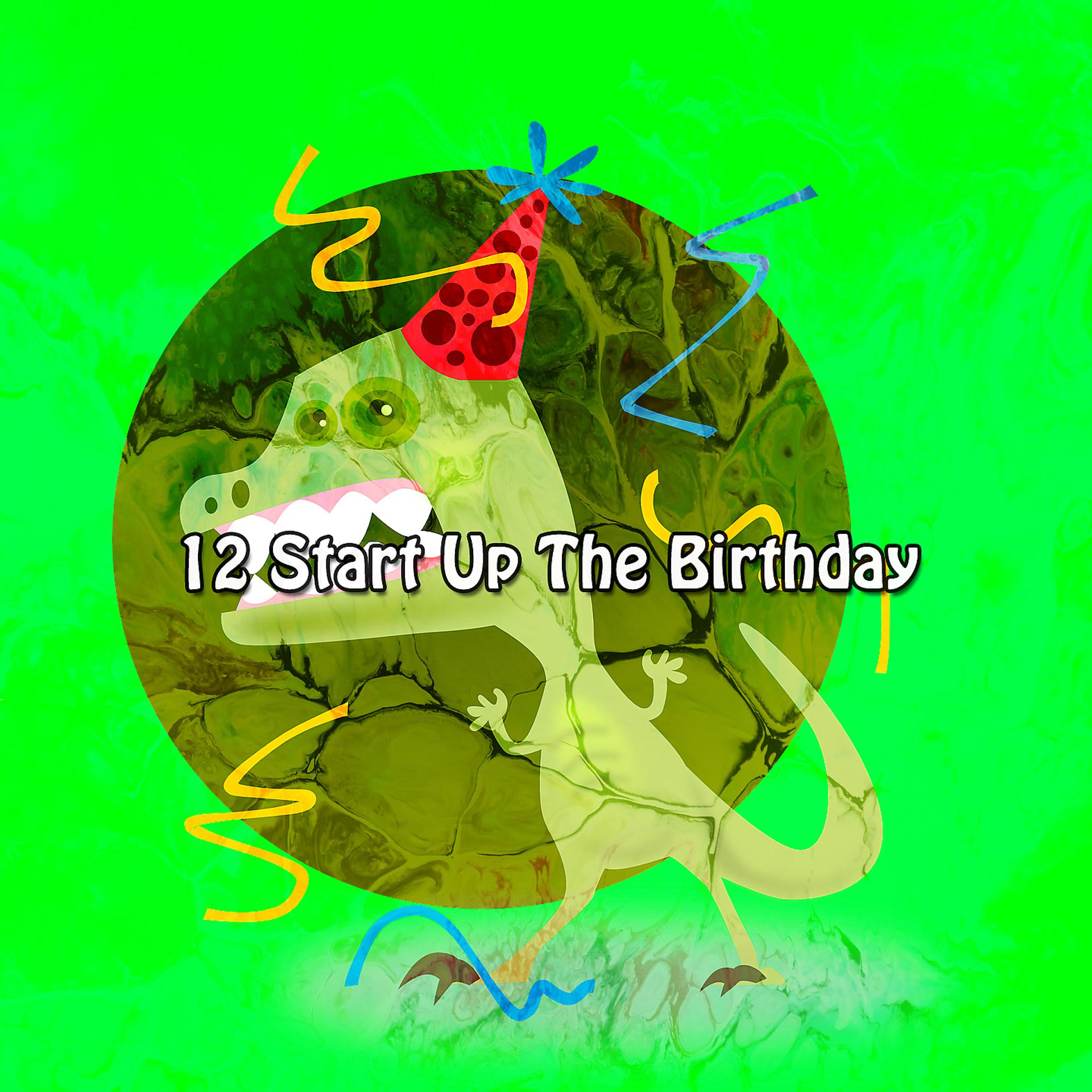 Постер альбома 12 Запустить день рождения