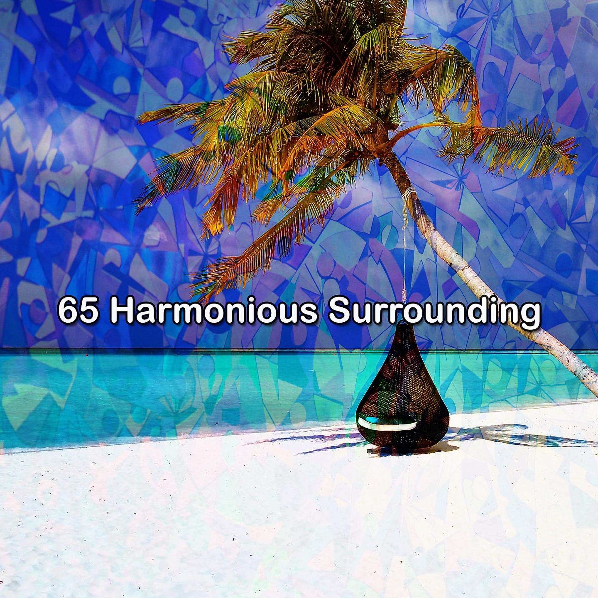 Постер альбома 65 Гармоничное окружение