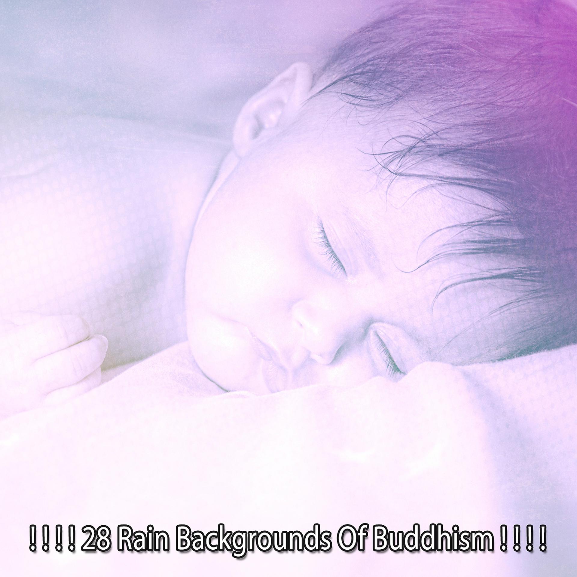 Постер альбома ! ! ! ! 28 фонов дождя из буддизма! ! ! !