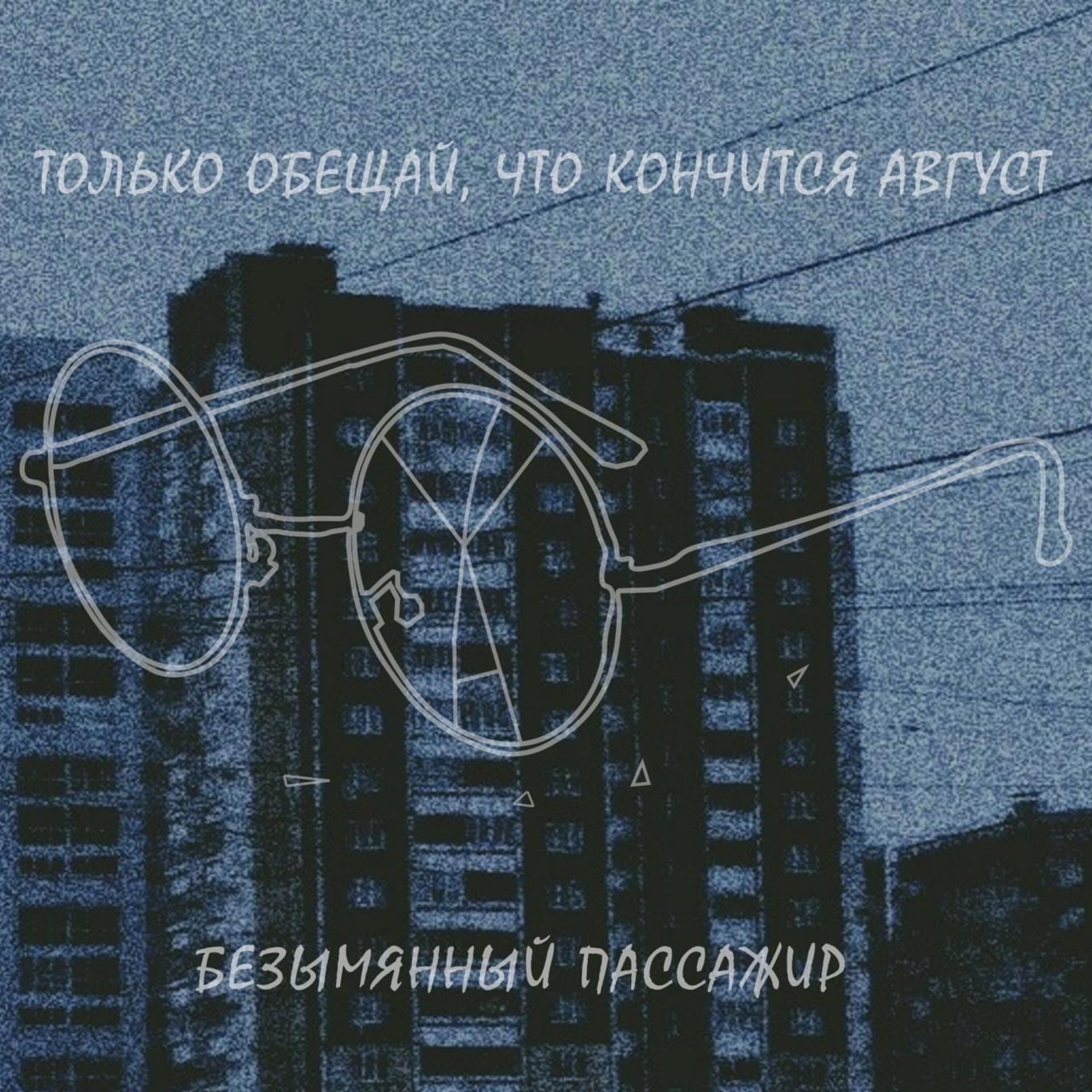 Постер альбома Безымянный пассажир
