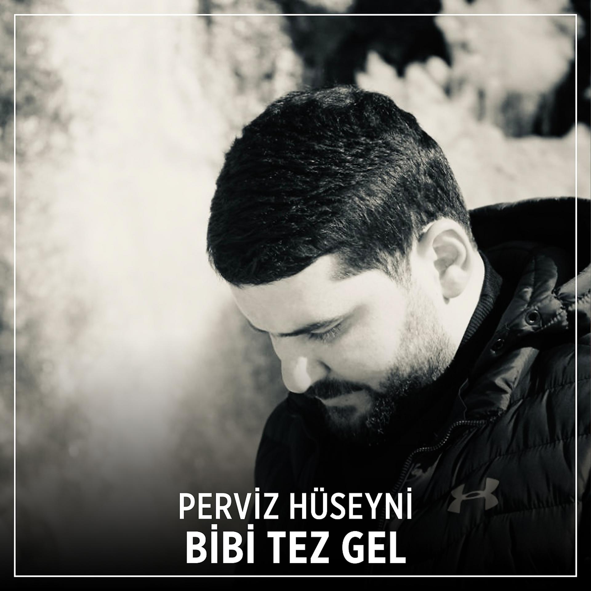 Постер альбома Bibi Tez Gel