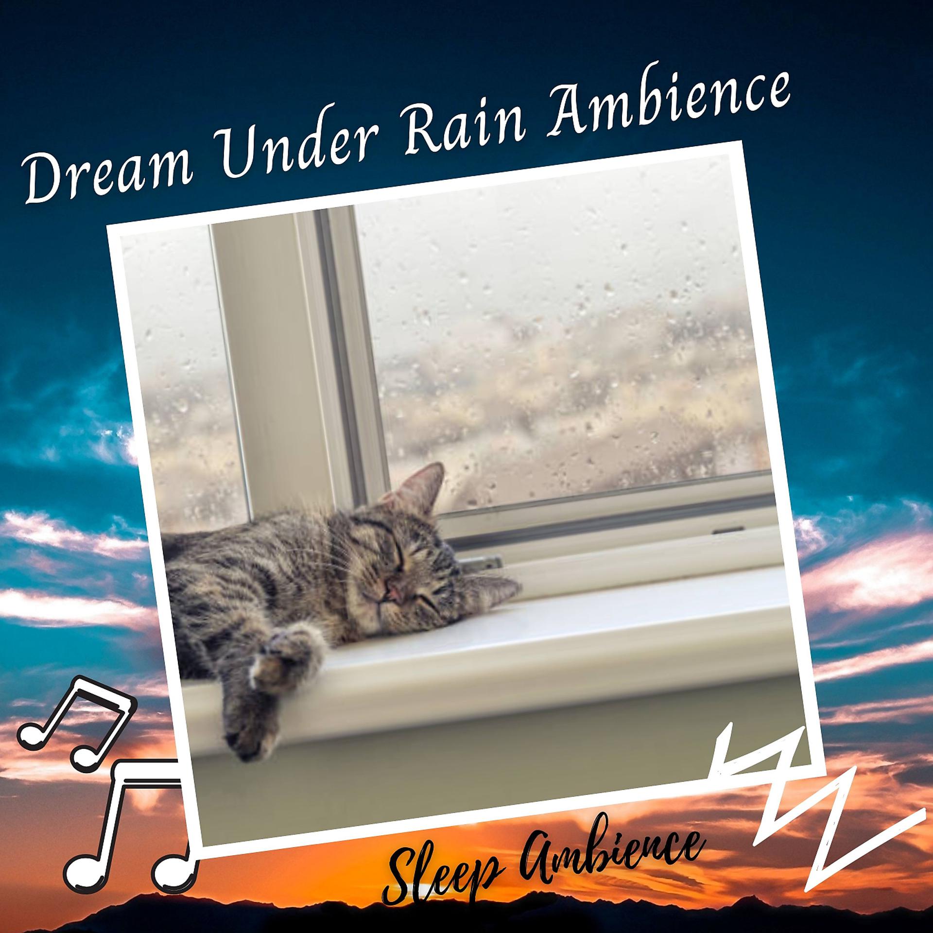 Постер альбома Dream Under Rain Ambience