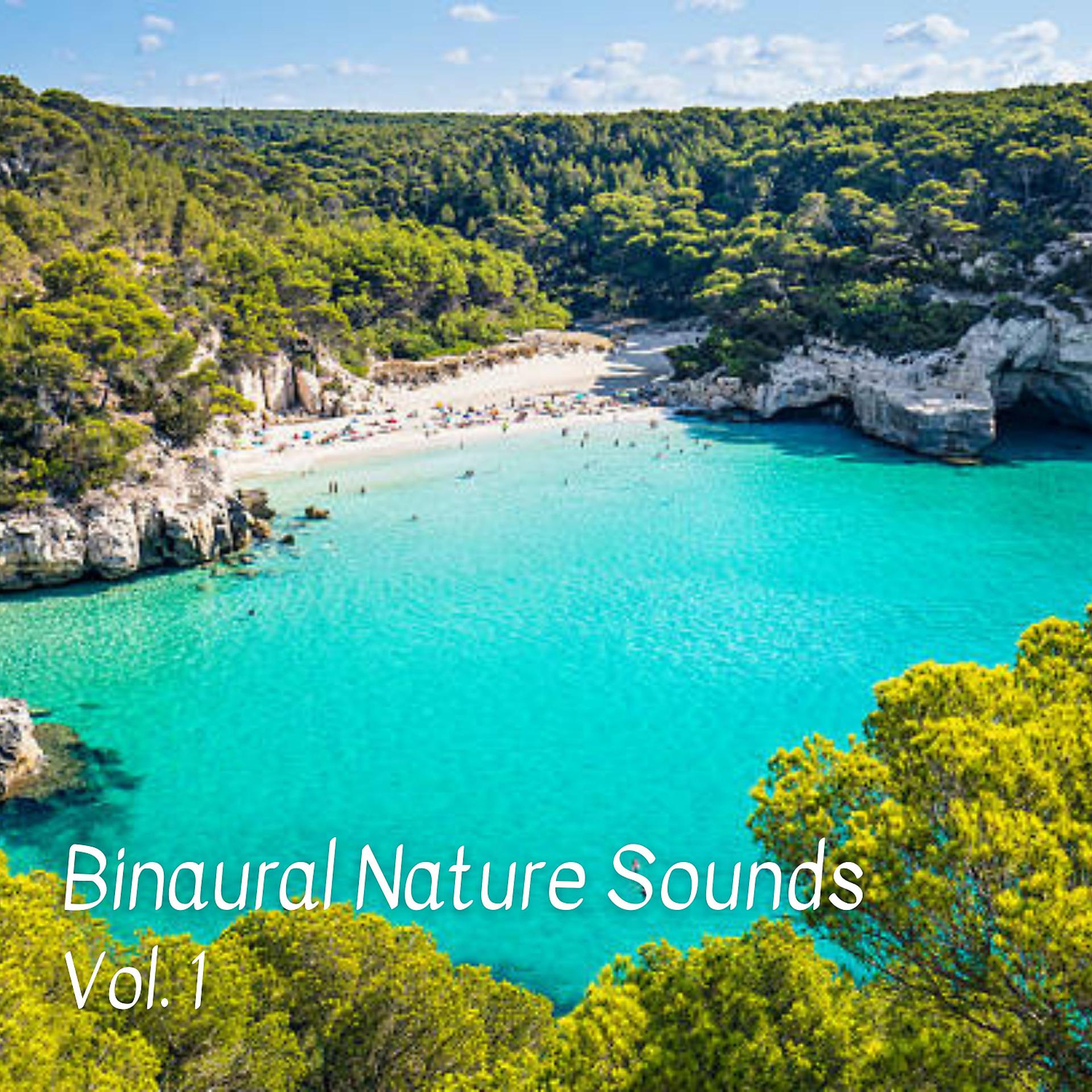 Постер альбома Binaural Nature Sounds Vol. 1