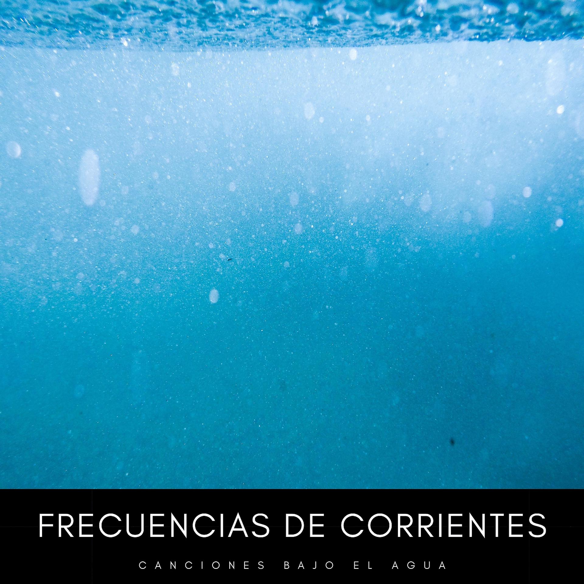 Постер альбома Frecuencias De Corrientes: Canciones Bajo El Agua