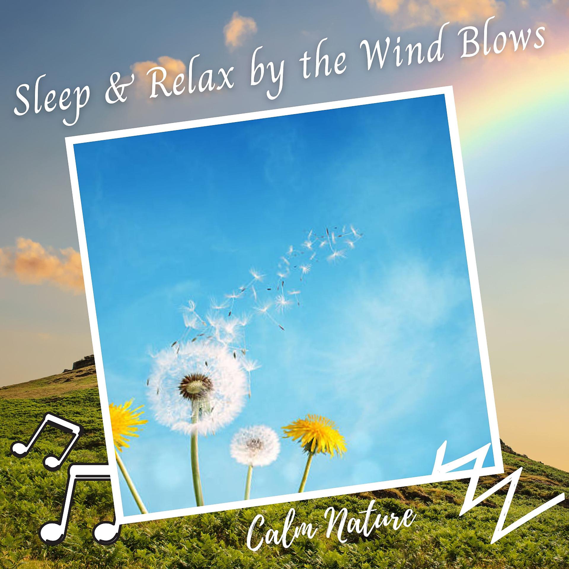 Постер альбома Calm Nature: Sleep & Relax by the Wind Blows