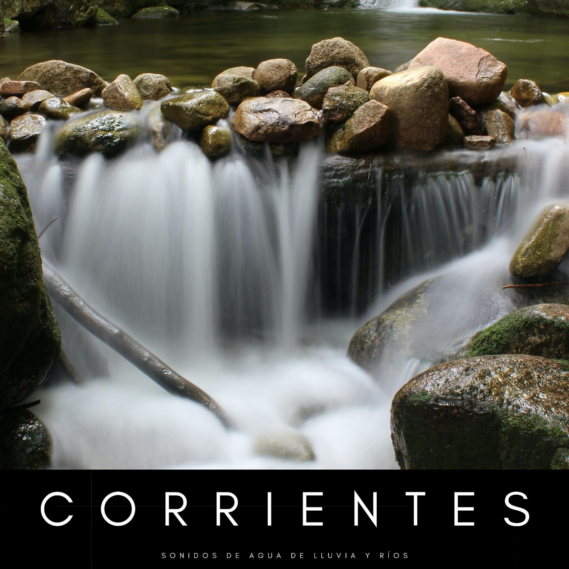 Постер альбома Corrientes: Sonidos De Agua De Lluvia y Ríos