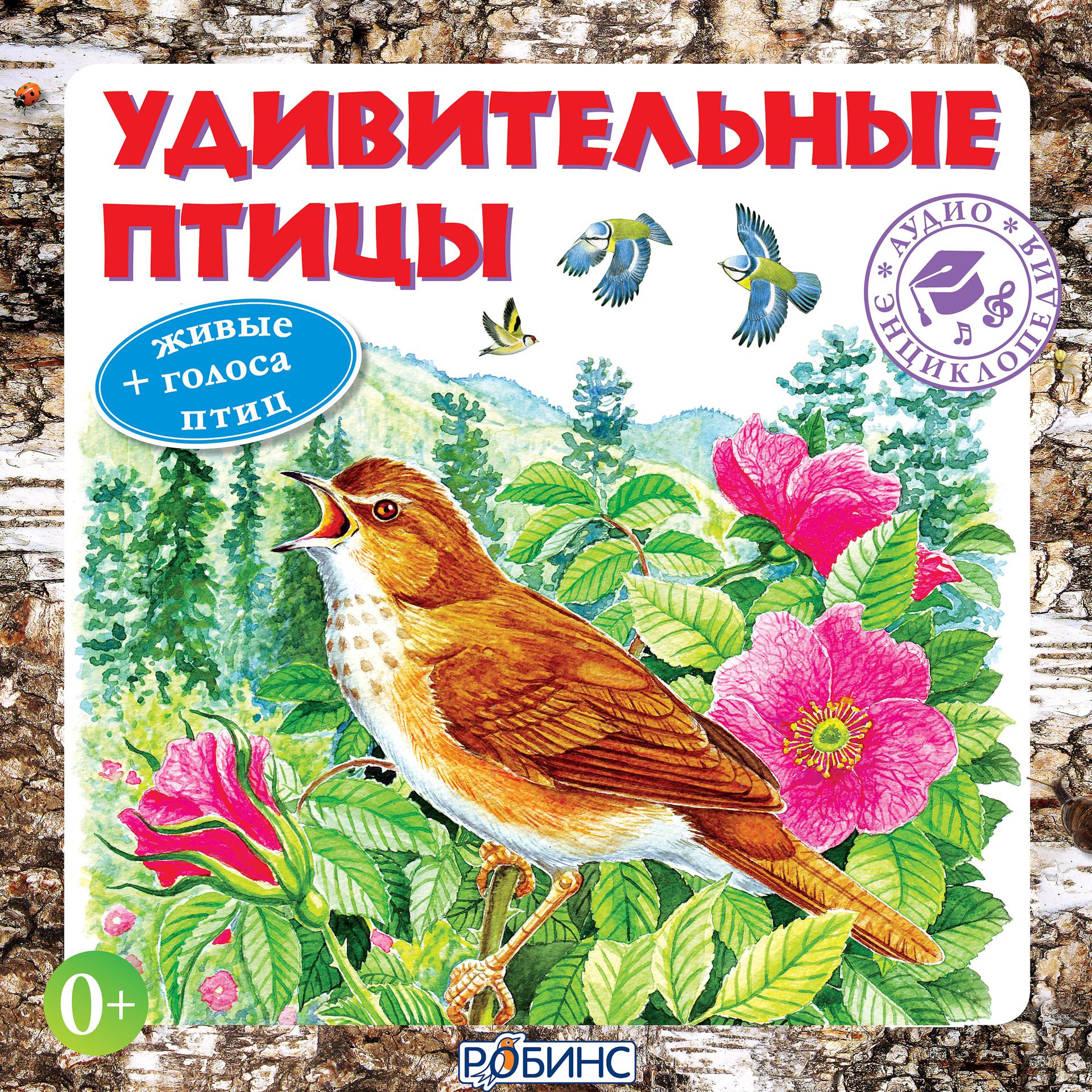 Постер альбома Аудиоэнциклопедия. Удивительные птицы + живые голоса птиц