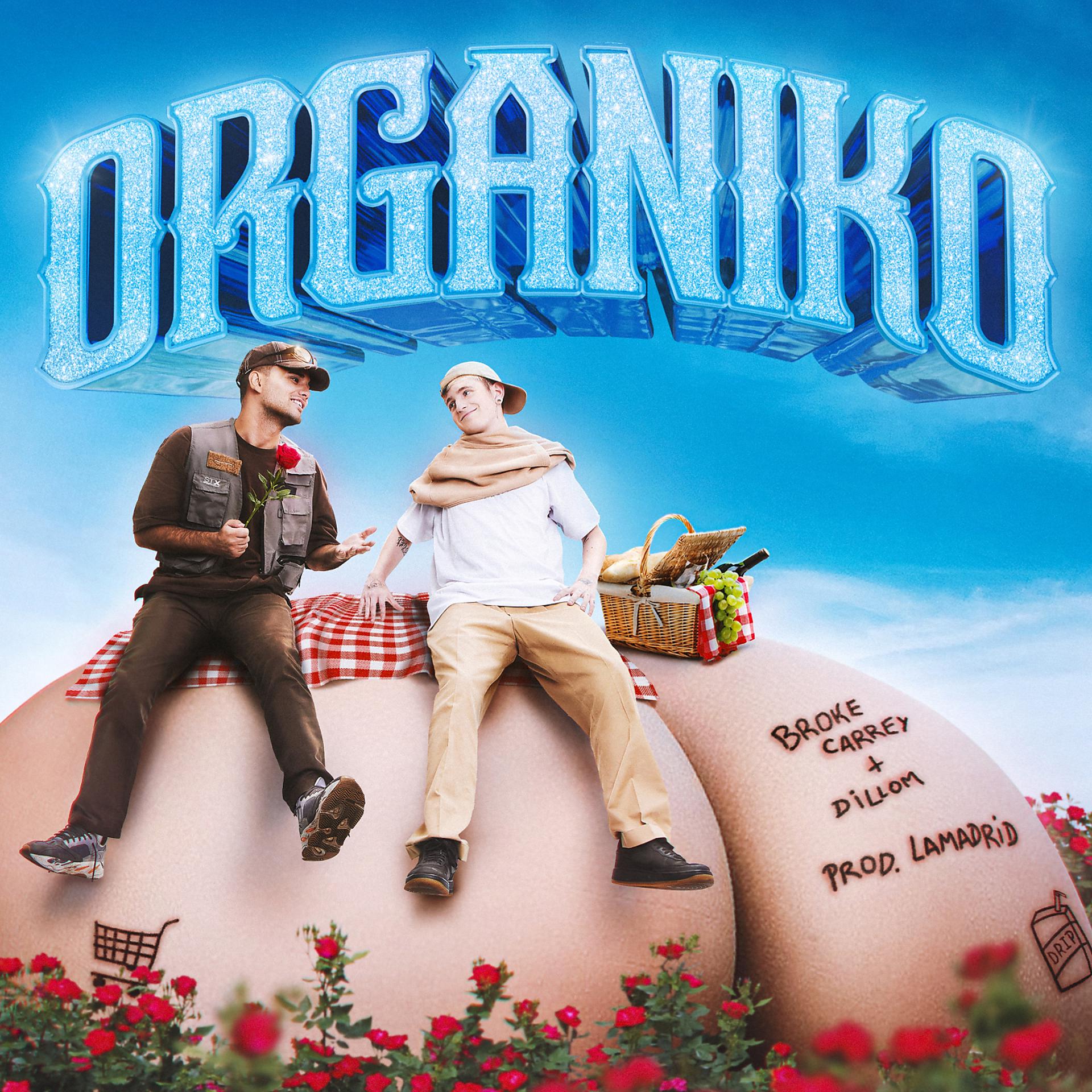 Постер альбома ORGANIKO