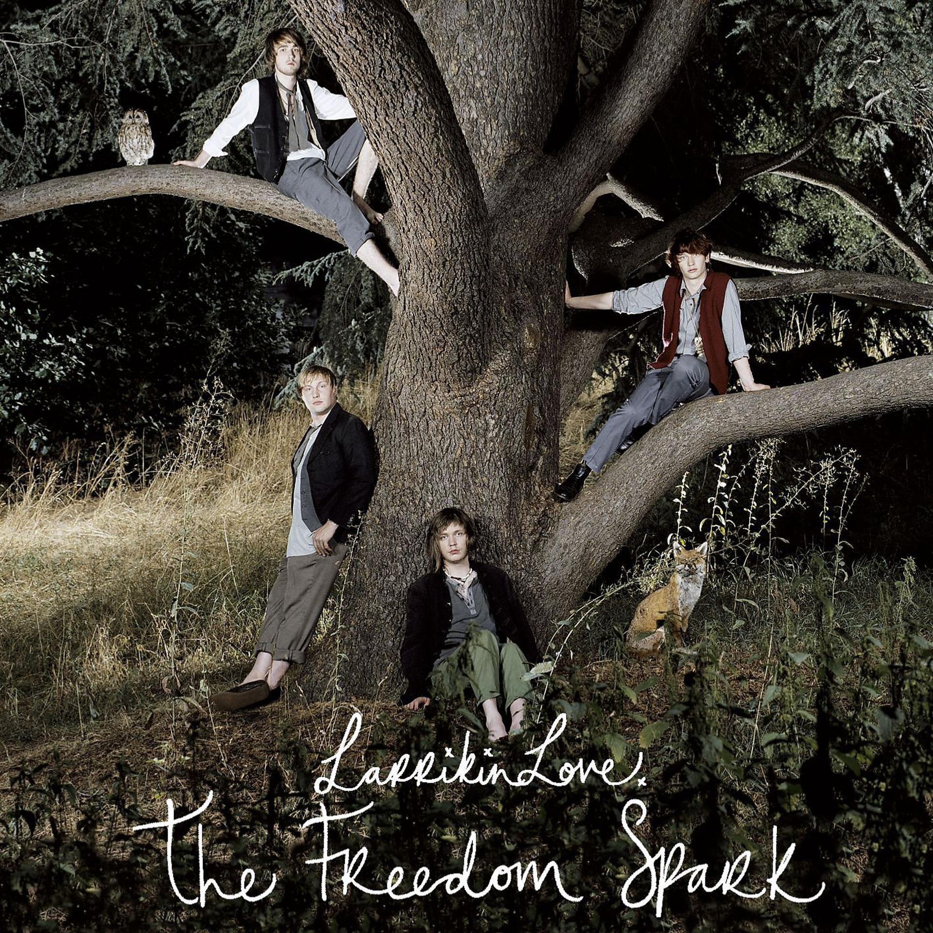 Постер альбома The Freedom Spark