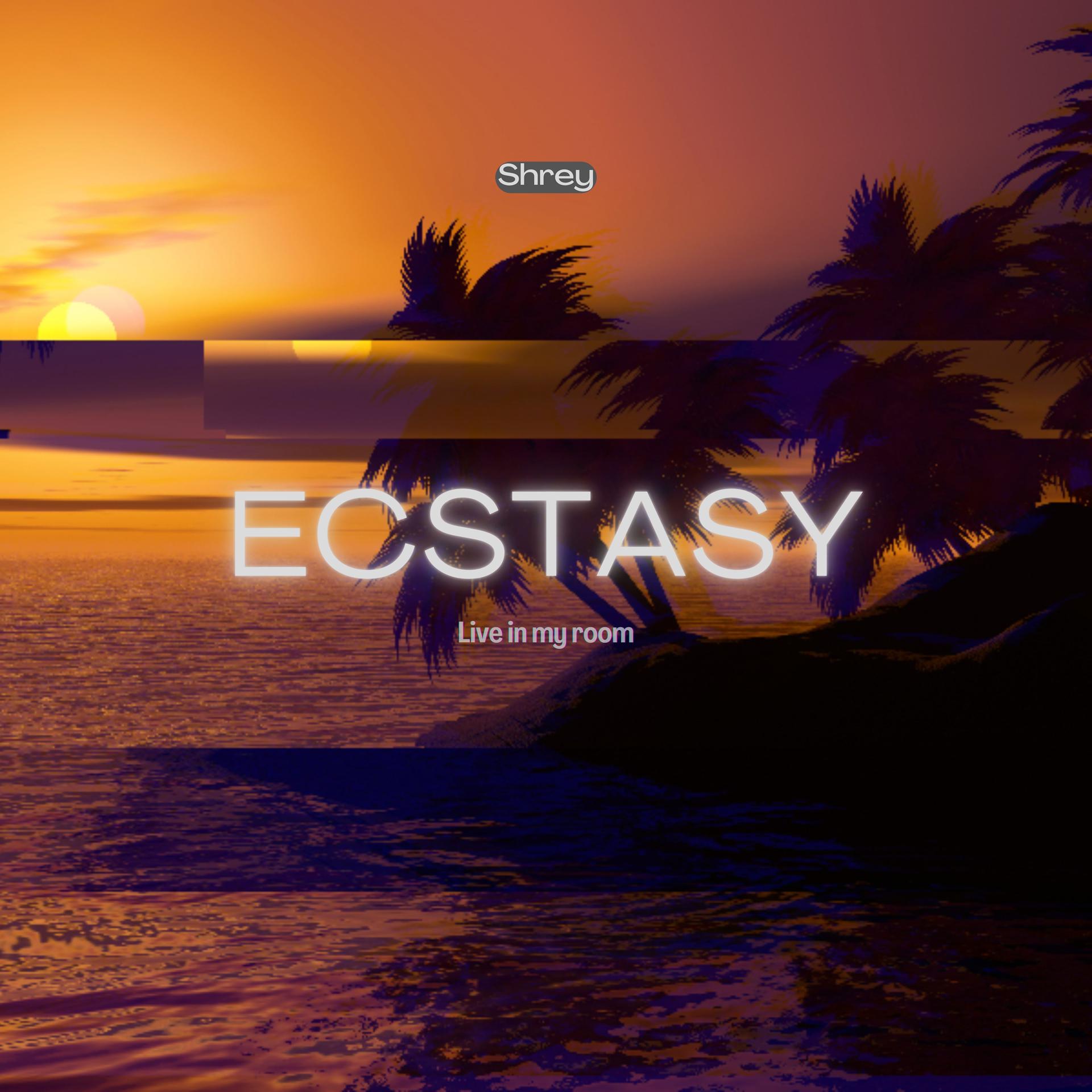 Постер альбома Ecstasy (Live in My Room)