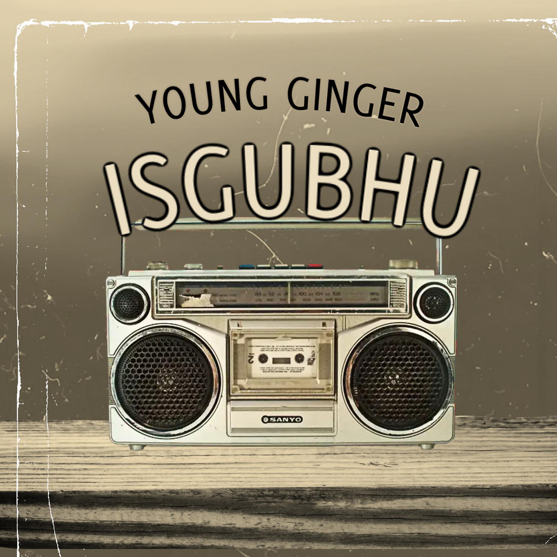 Постер альбома Isgubhu