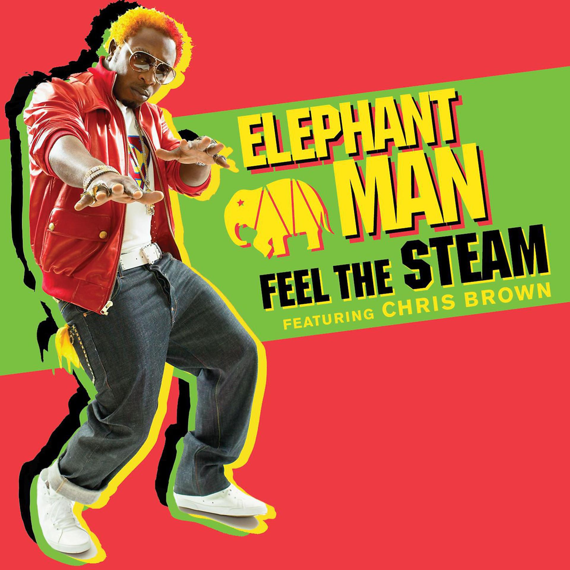 Постер альбома Feel The Steam (feat. Chris Brown) (International)