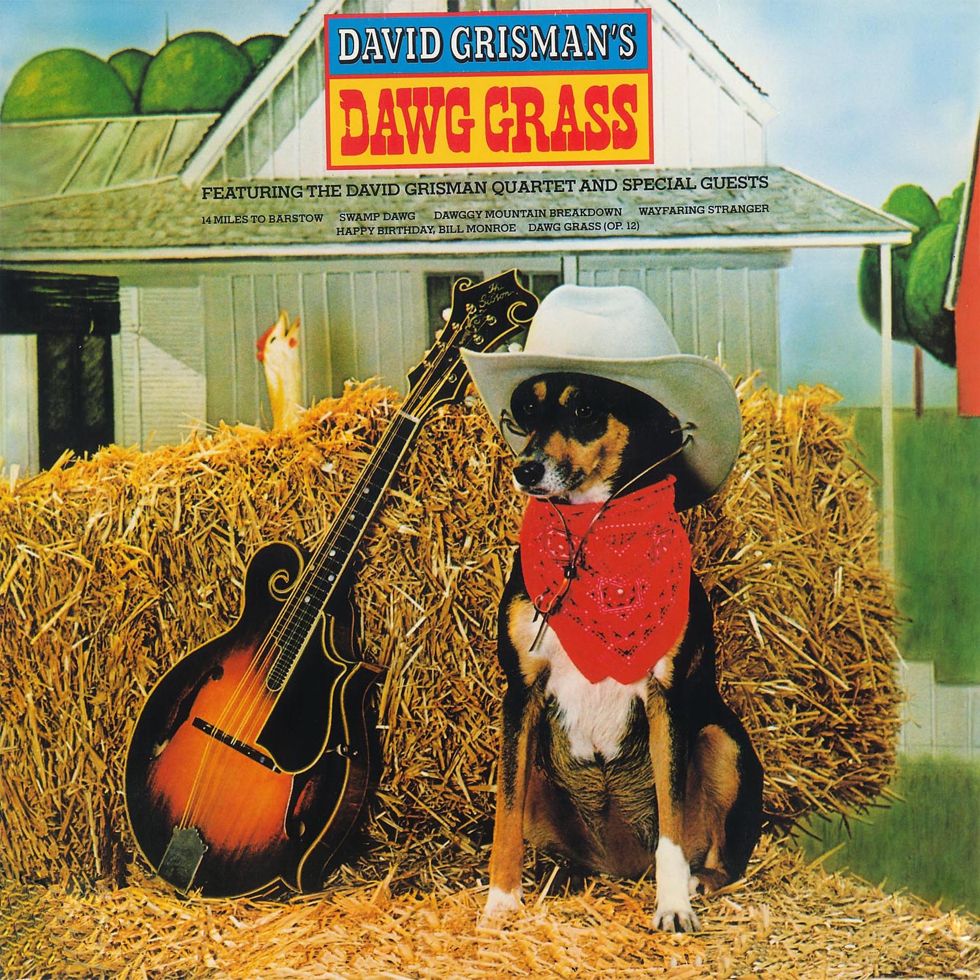 Постер альбома Dawg Grass