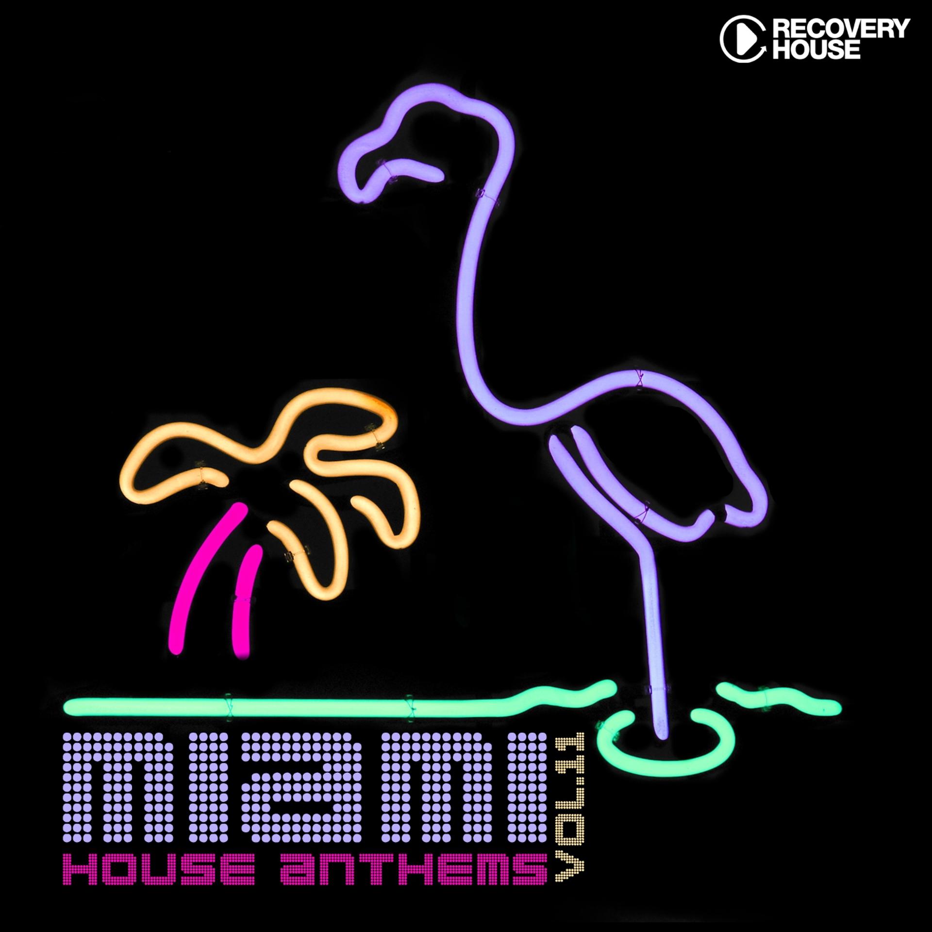 Постер альбома Miami House Anthems, Vol. 11