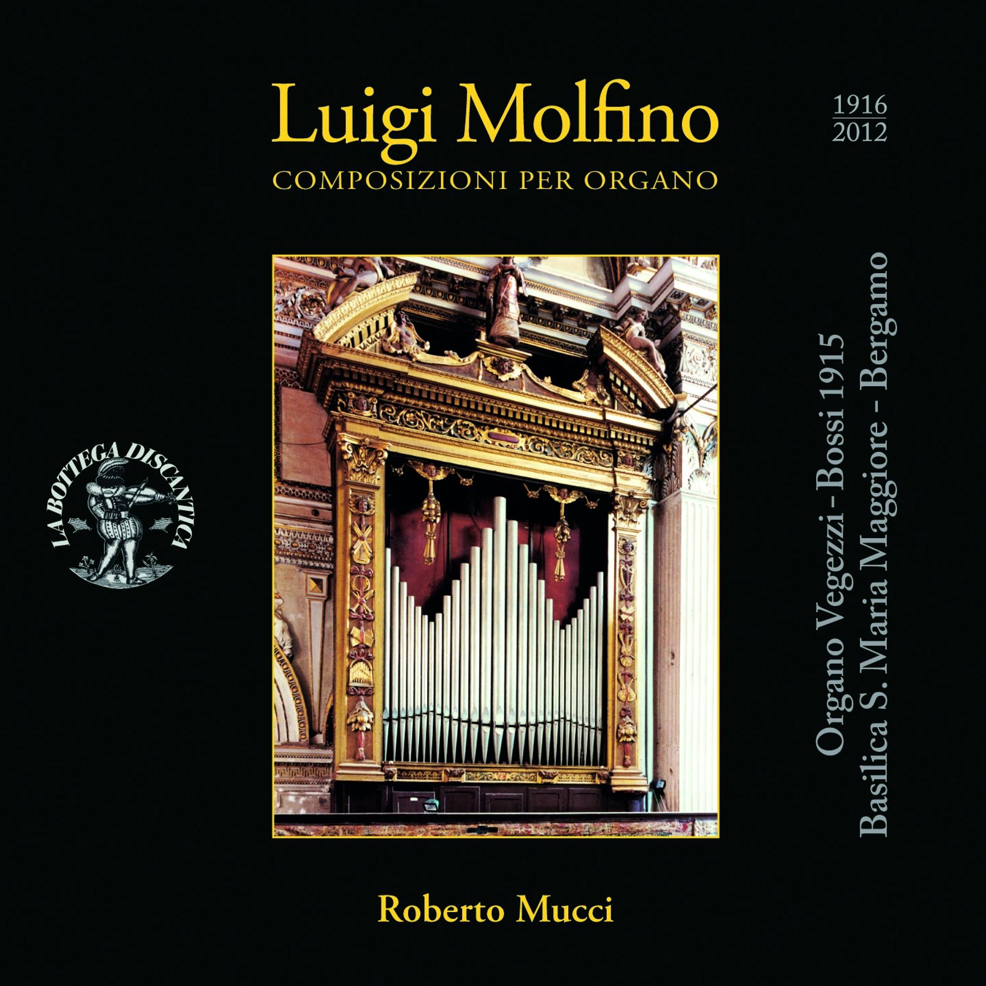 Постер альбома Luigi Molfino: Composizioni per organo