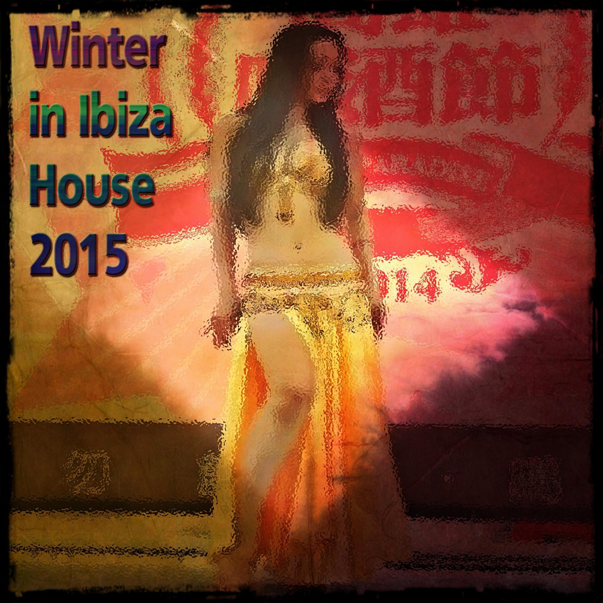 Постер альбома Winter in Ibiza House 2015