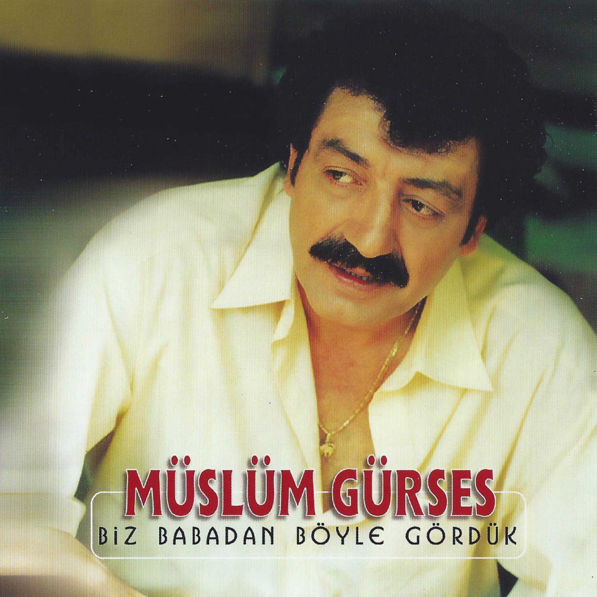 Постер альбома Biz Babadan Böyle Gördük
