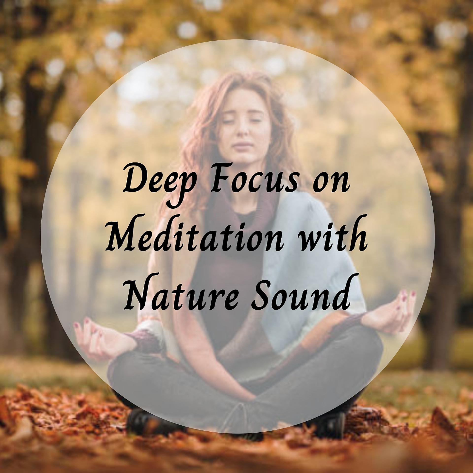 Постер альбома Deep Focus on Meditation with Nature Sound - 1 Hour