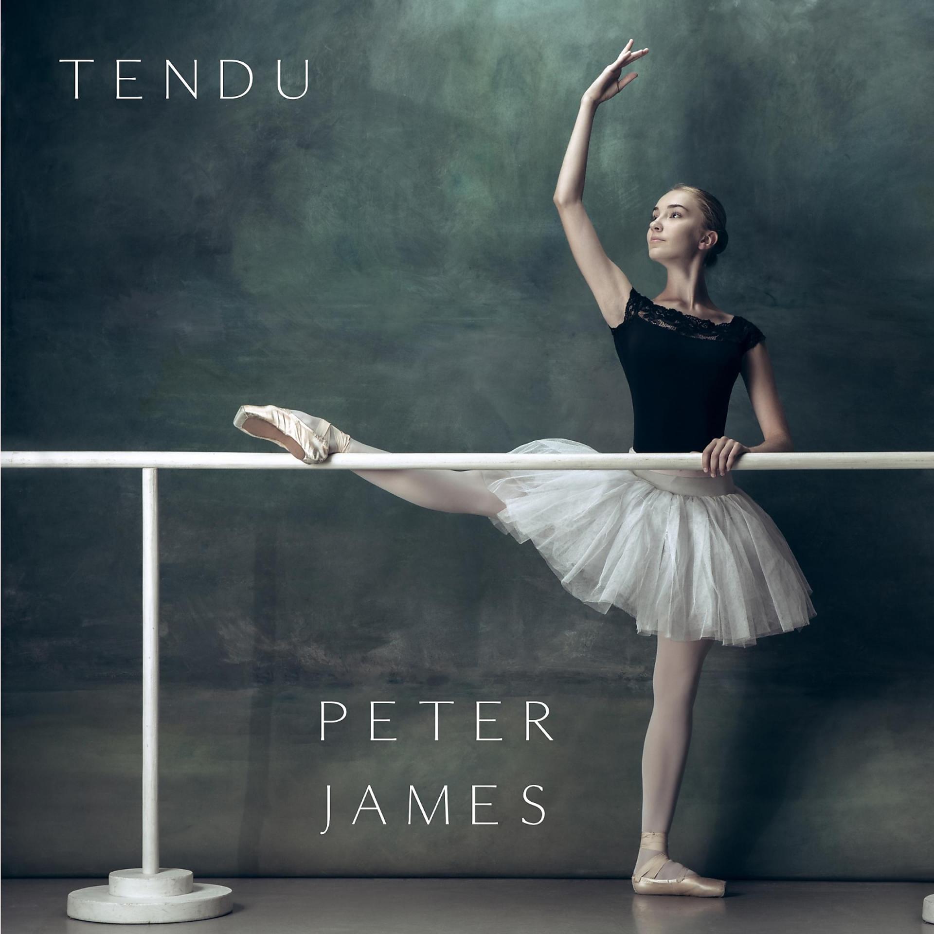 Постер альбома Tendu