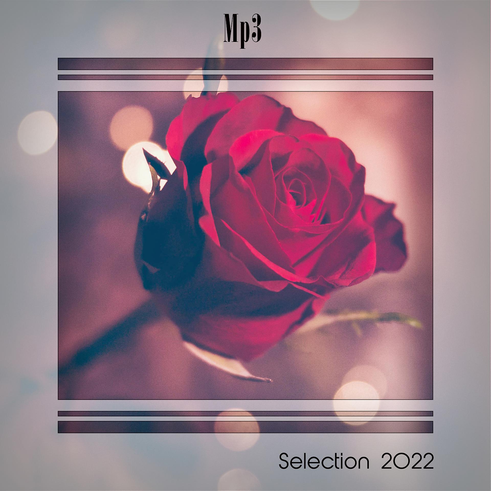 Постер альбома MP3 SELECTION 2022
