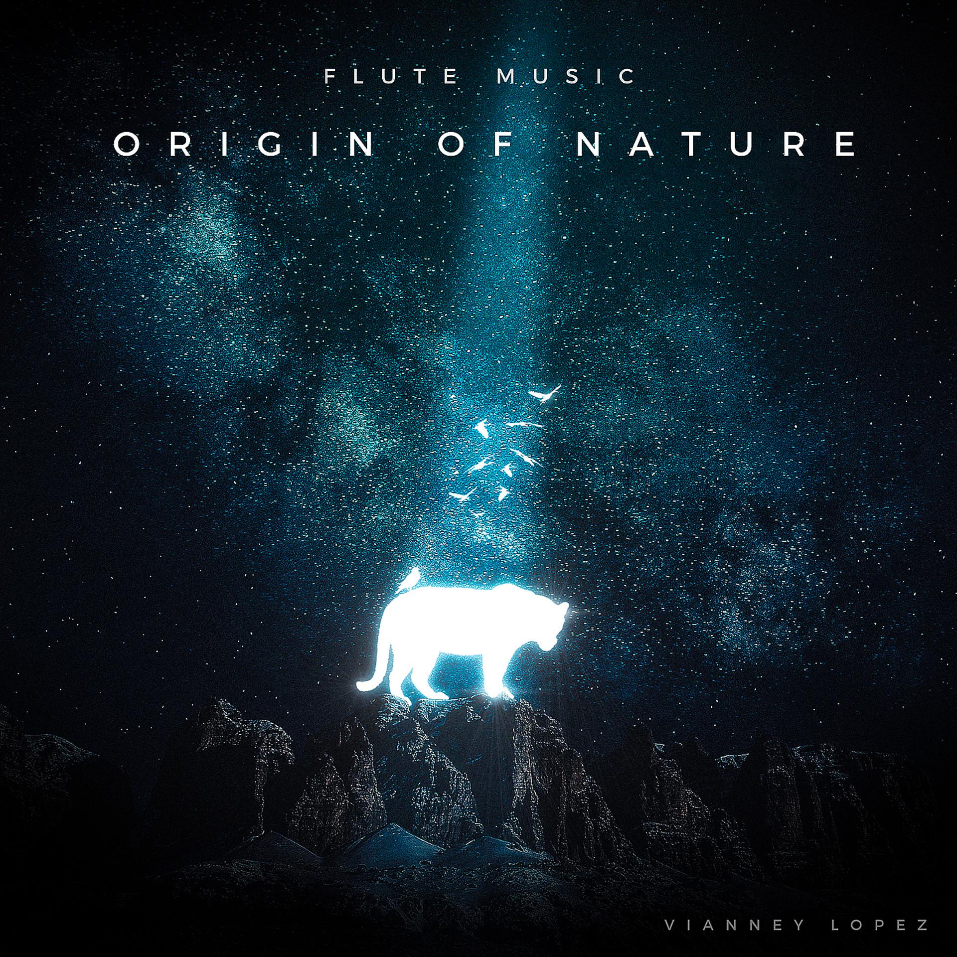 Постер альбома Origin of Nature: Flute Music