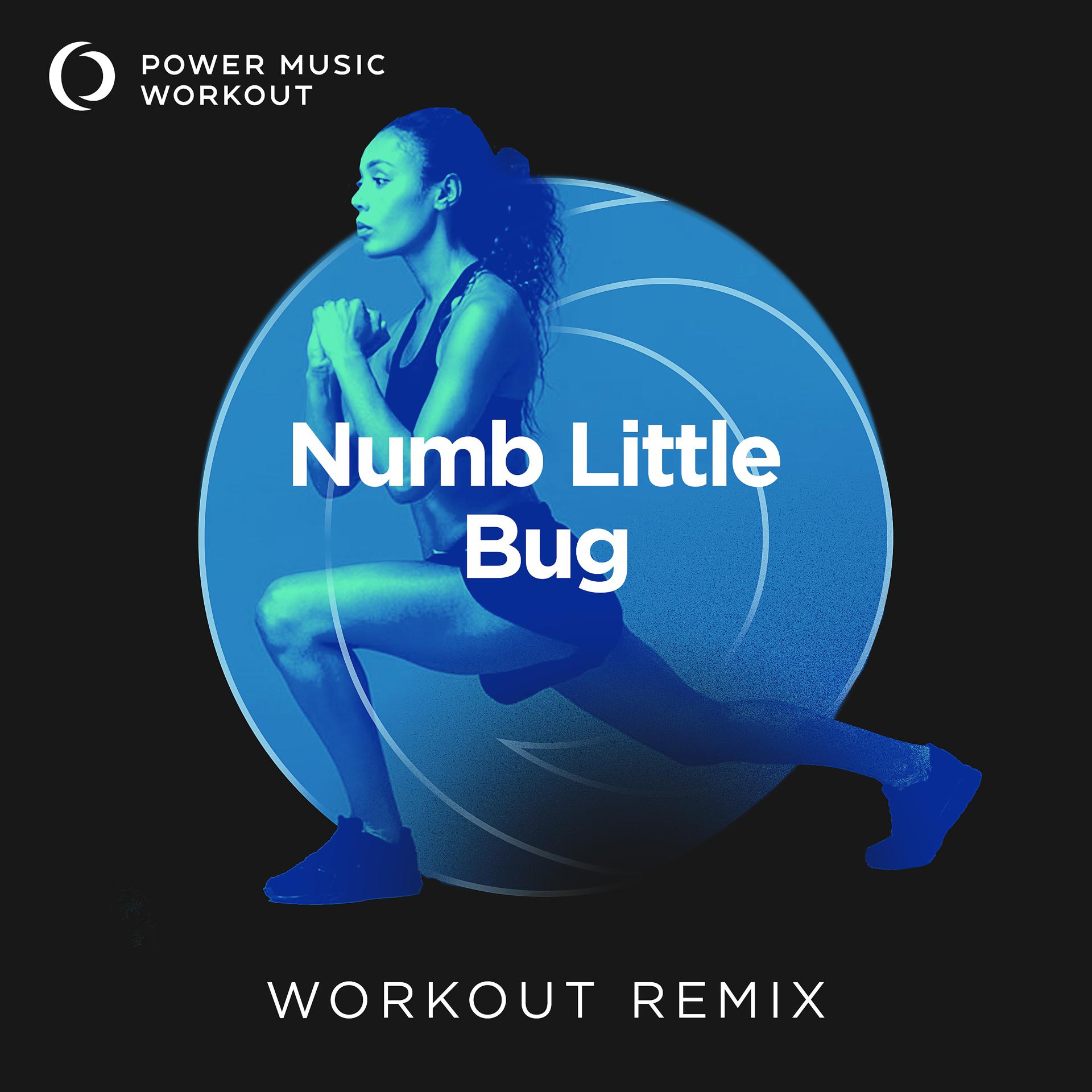 Постер альбома Numb Little Bug - Single