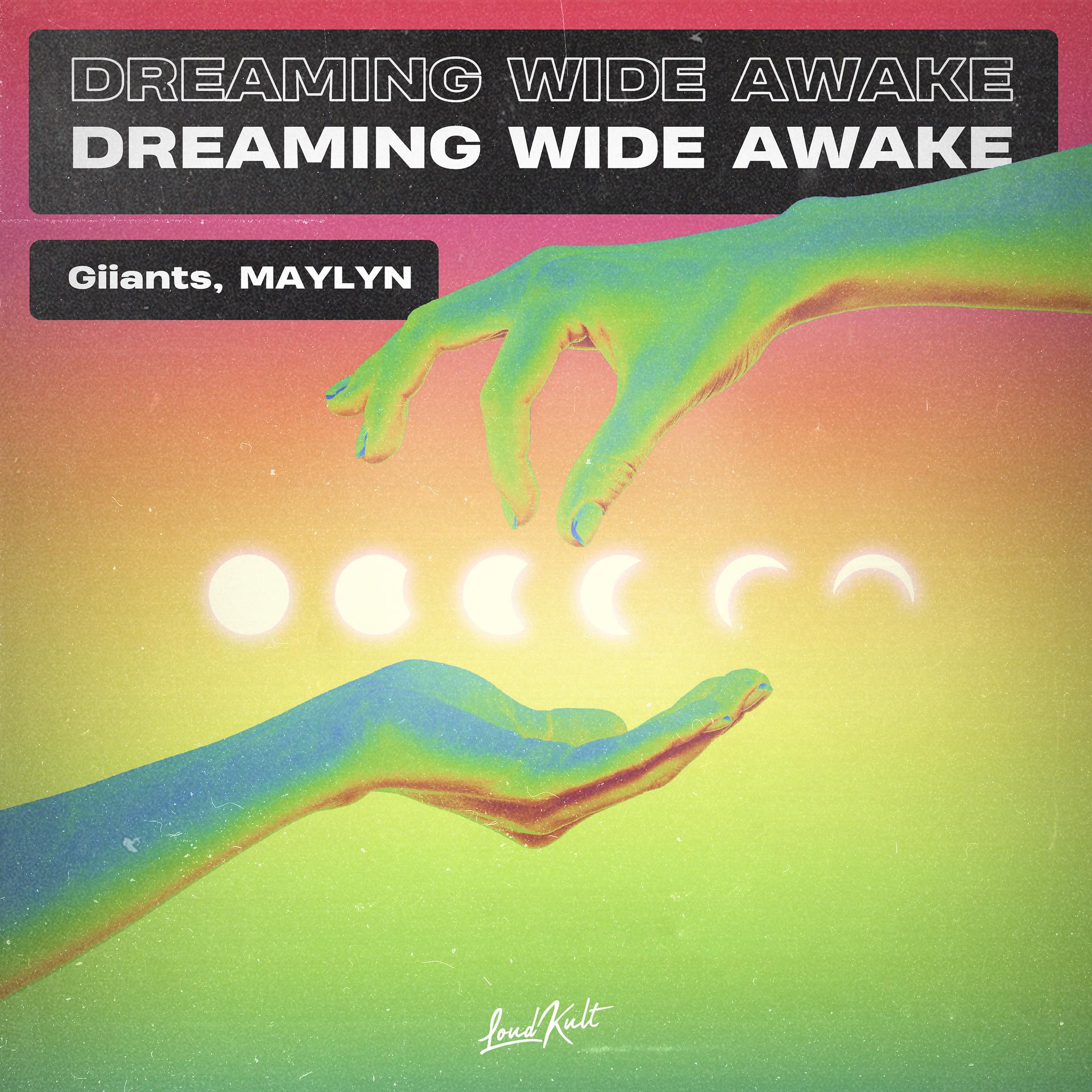 Постер альбома Dreaming Wide Awake