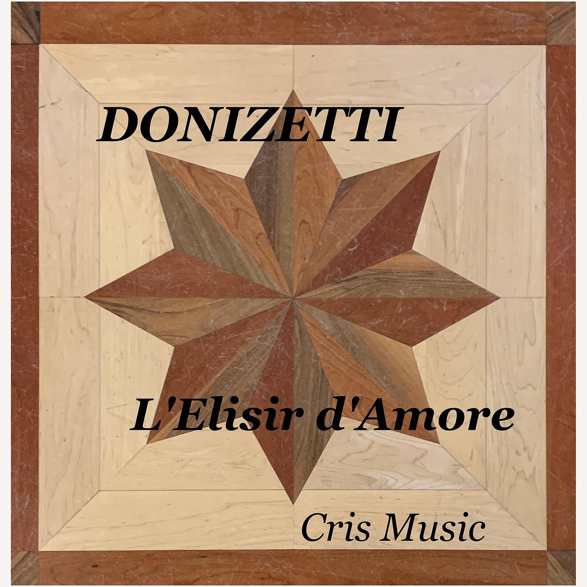 Постер альбома Donizetti: L'Elisir d'Amore