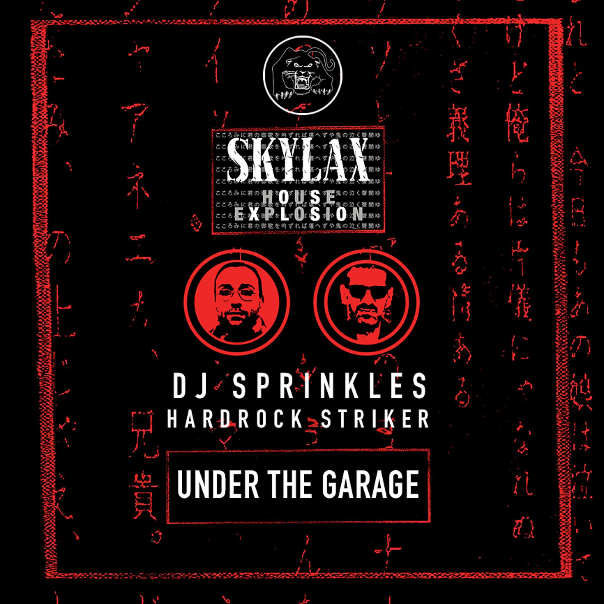 Постер альбома Skylax House Explosion - Under The Garage