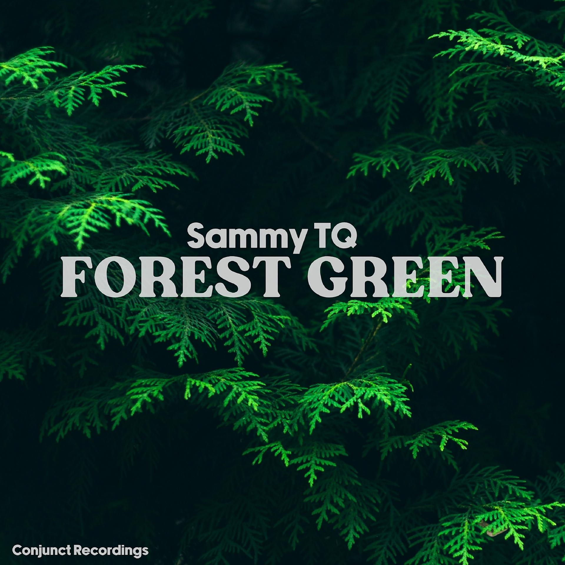 Постер альбома Forest Green