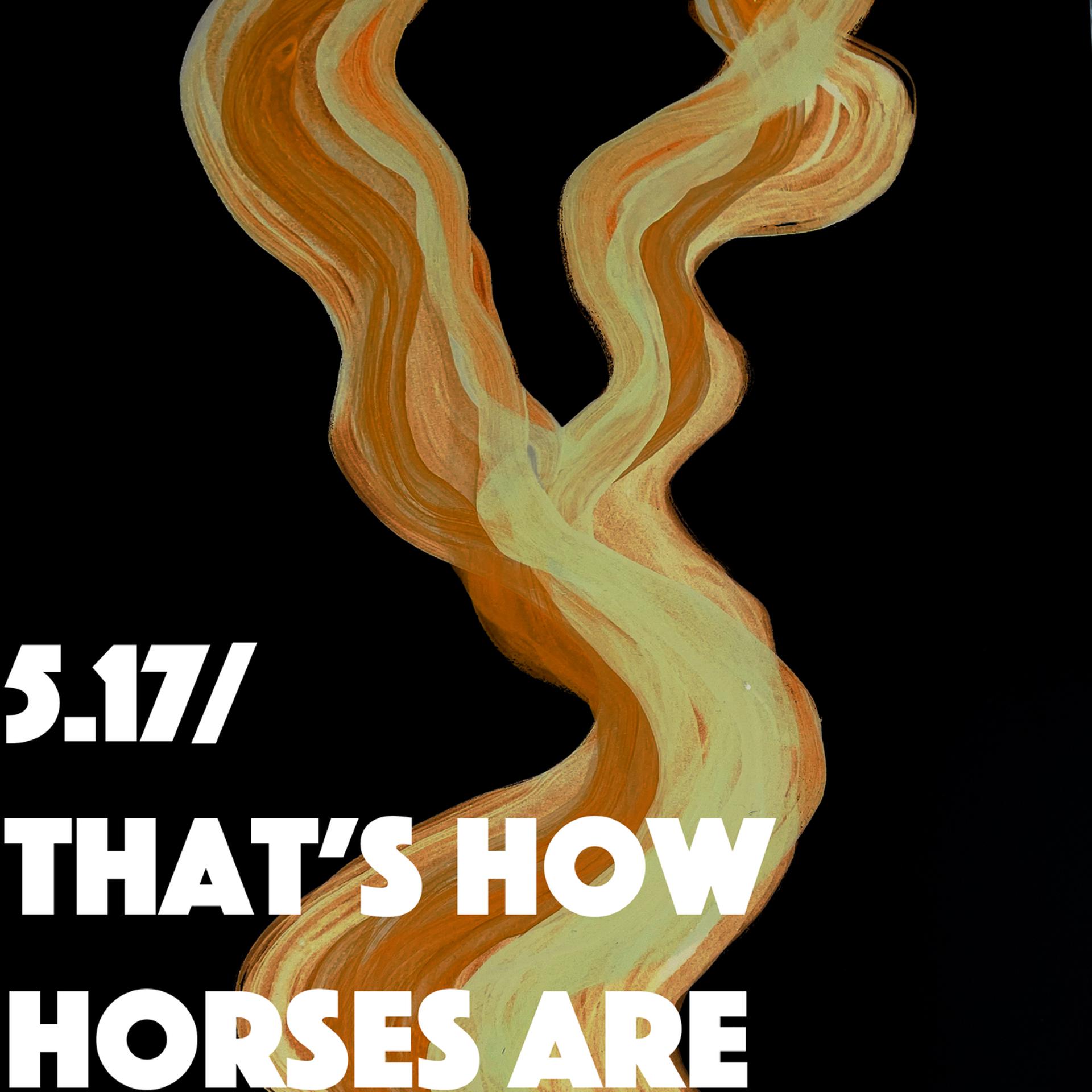 Постер альбома 5.17 / That's How Horses Are
